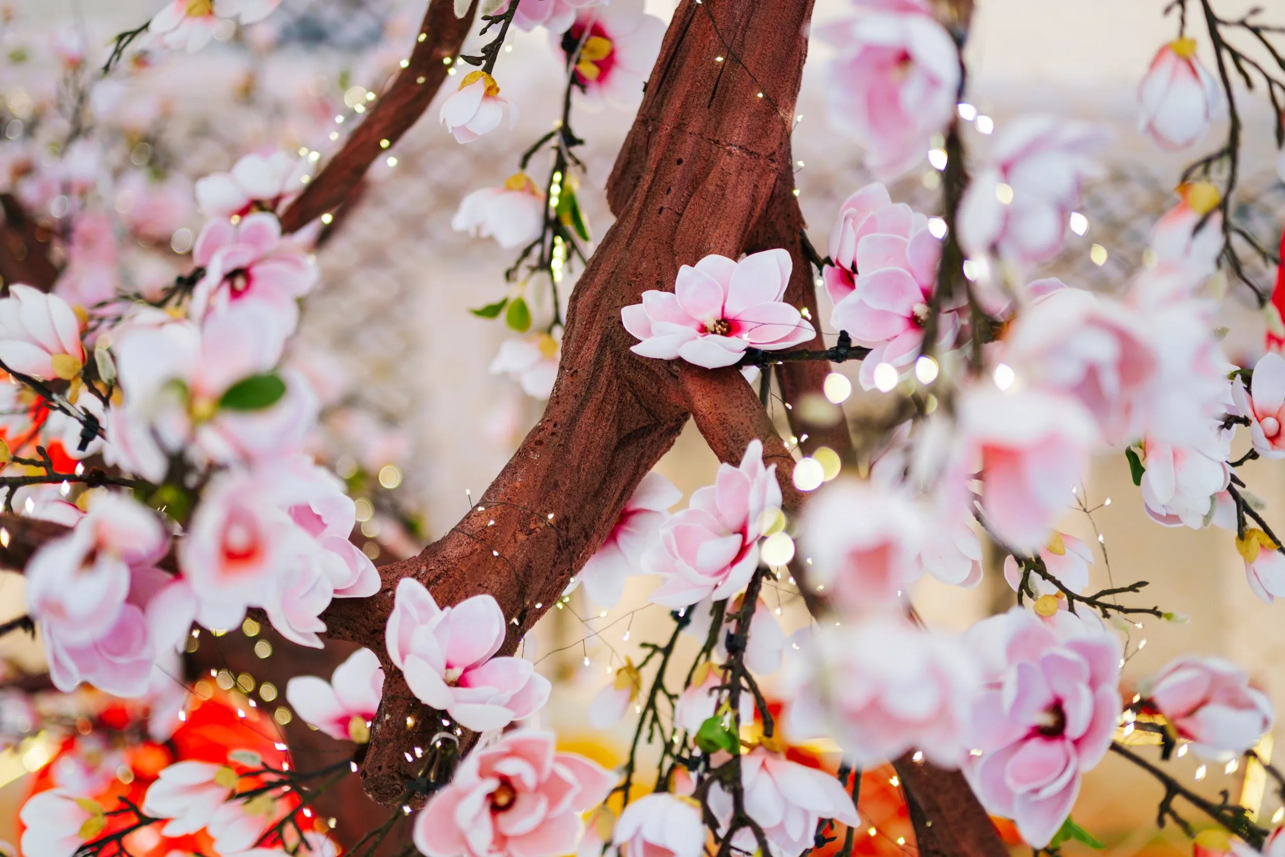 Hùng Vương Plaza, 2026 Decoration — Pham Si Luan Photography (5)