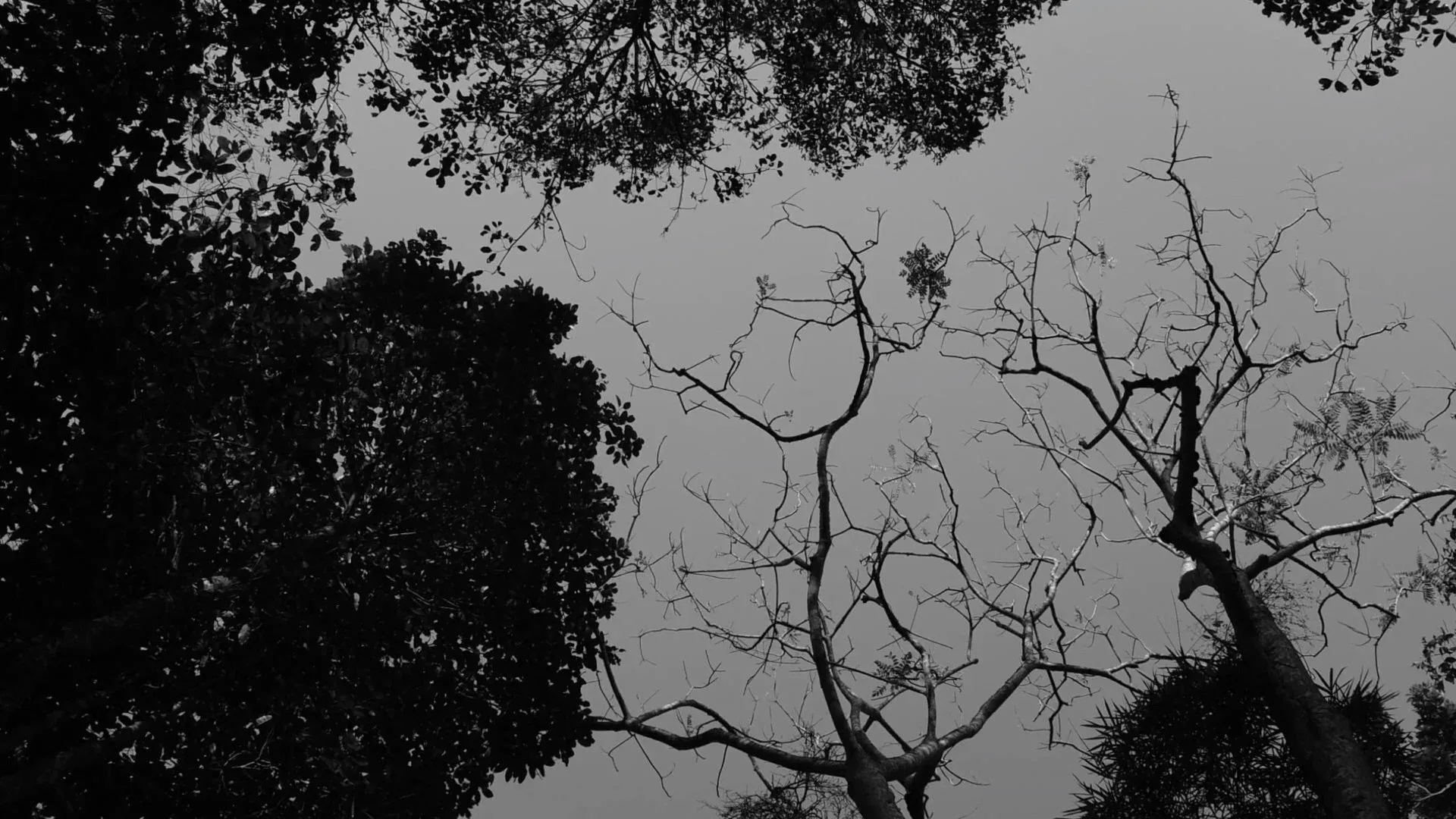 Short Film for Cee's Ambie - Thailand Trip 2023 — Pham Si Luan Photography (24)