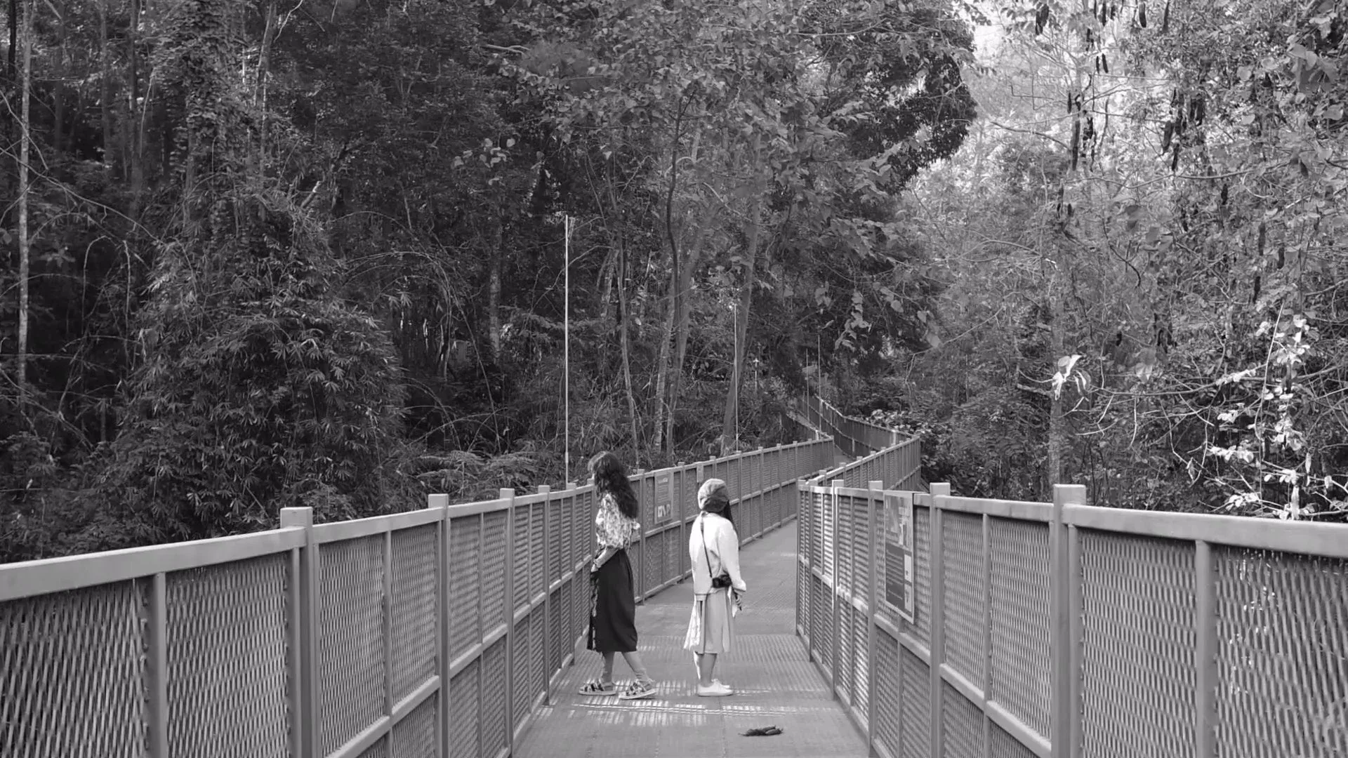 Short Film for Cee's Ambie - Thailand Trip 2023 — Pham Si Luan Photography (40)