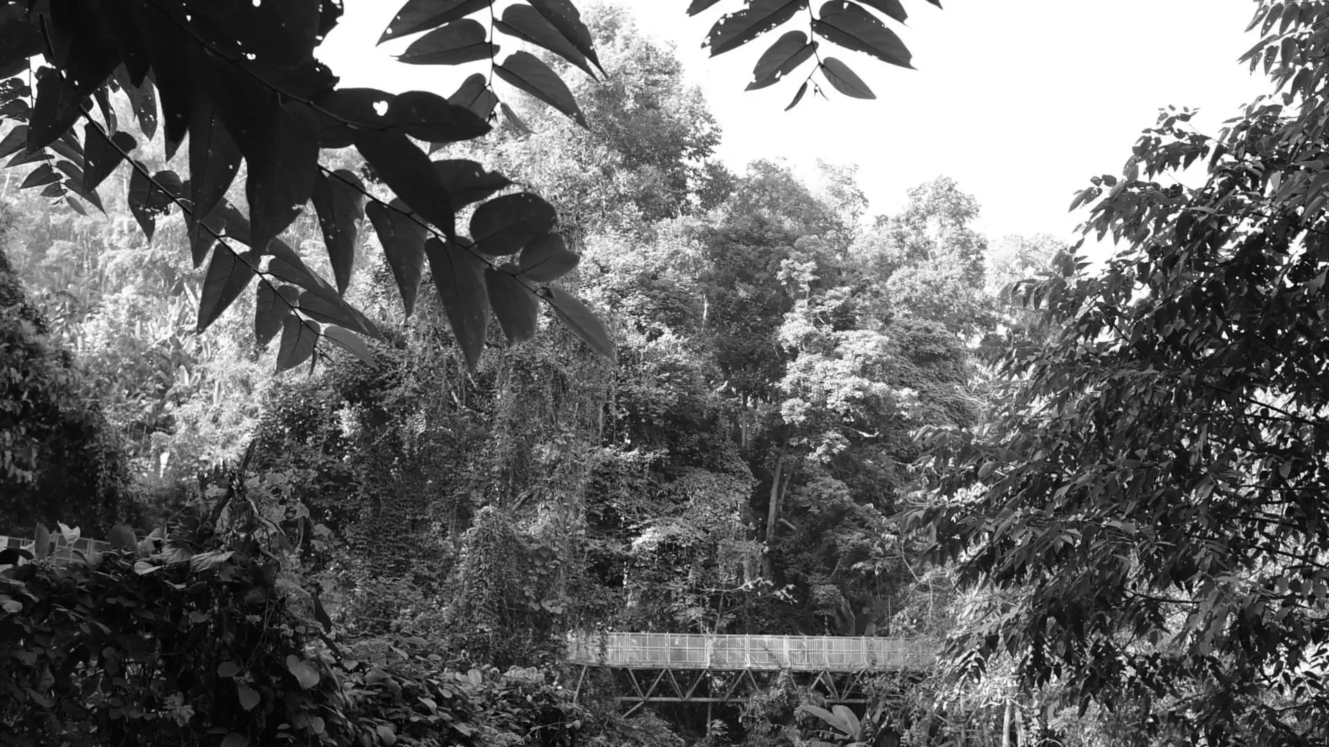 Short Film for Cee's Ambie - Thailand Trip 2023 — Pham Si Luan Photography (41)