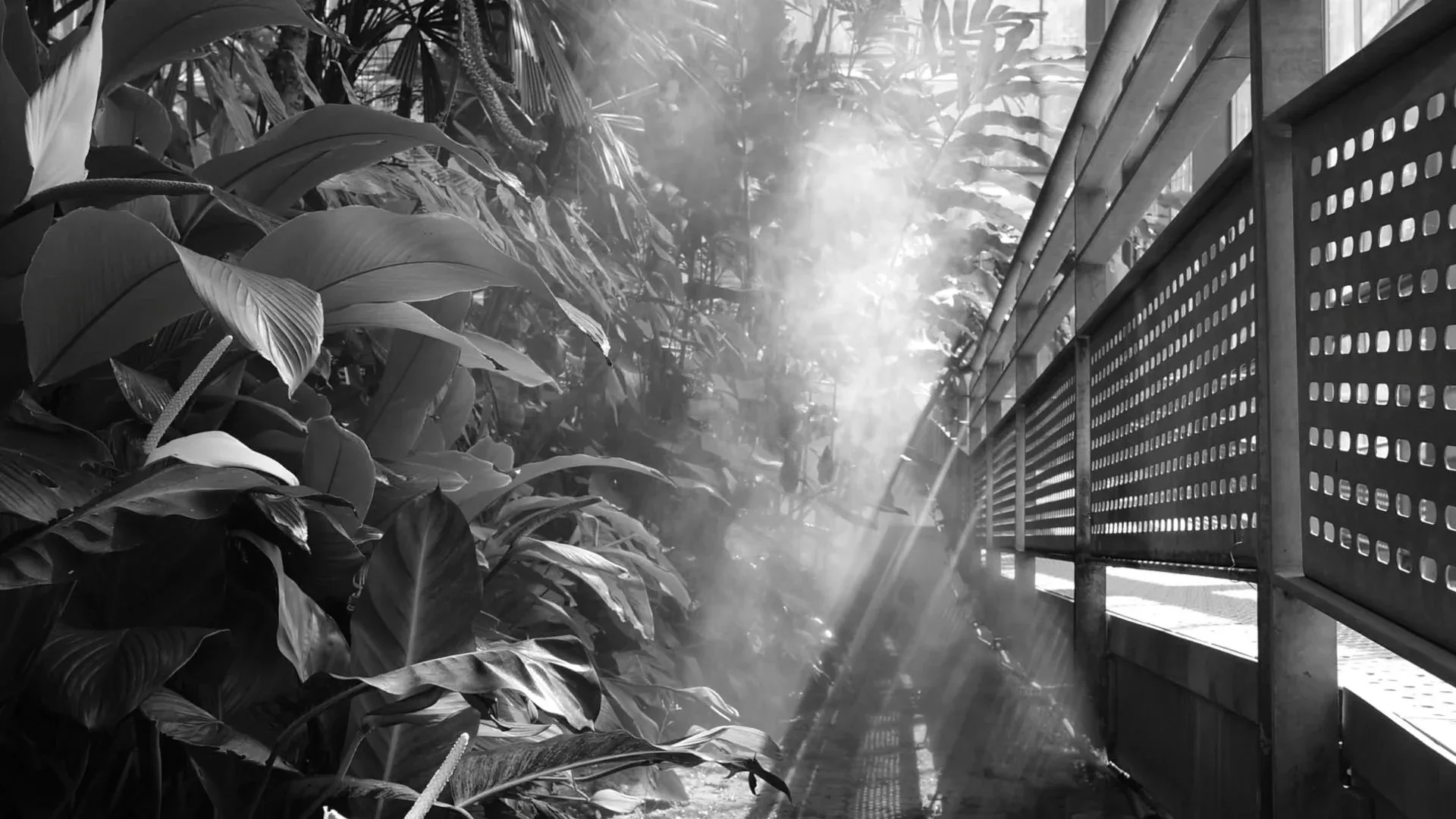 Short Film for Cee's Ambie - Thailand Trip 2023 — Pham Si Luan Photography (77)