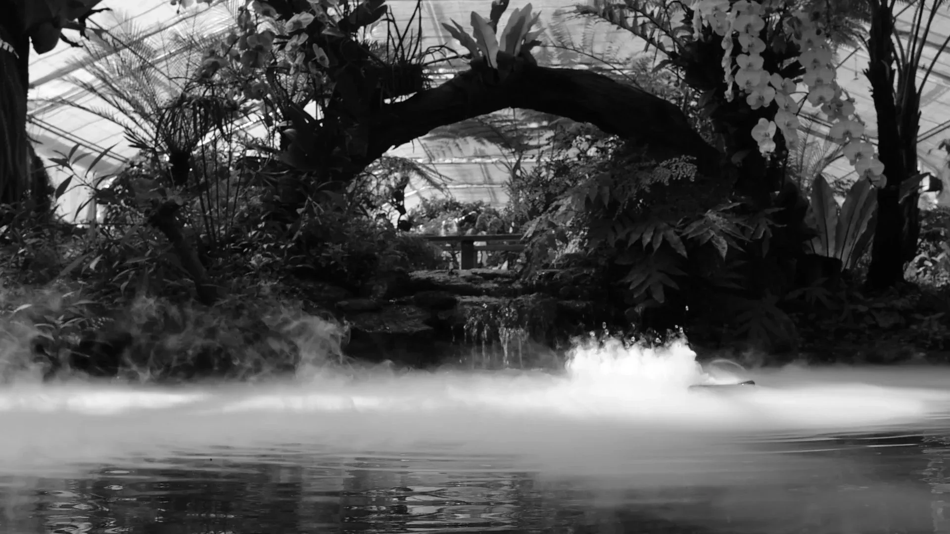Short Film for Cee's Ambie - Thailand Trip 2023 — Pham Si Luan Photography (81)