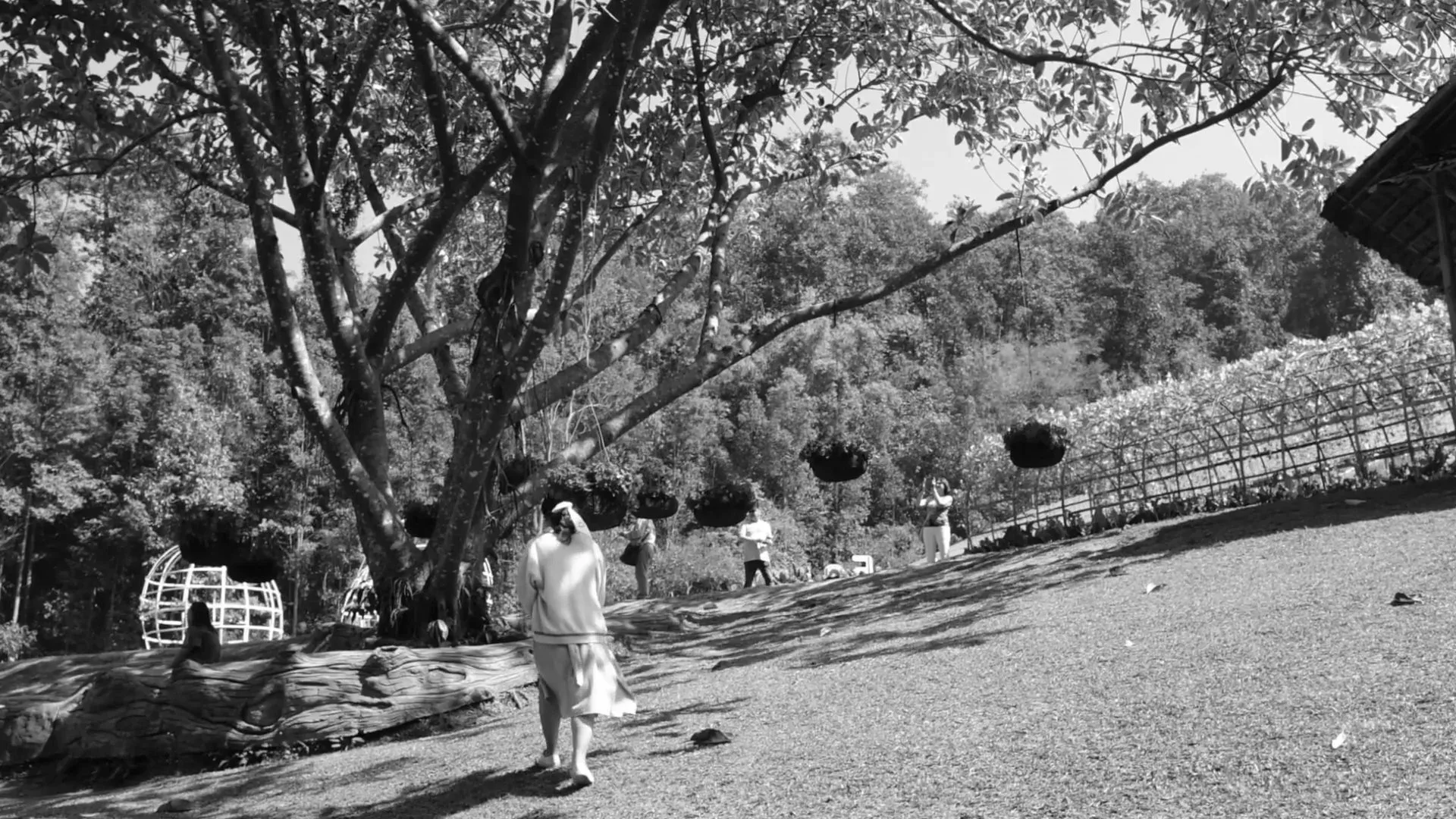 Short Film for Cee's Ambie - Thailand Trip 2023 — Pham Si Luan Photography (84)