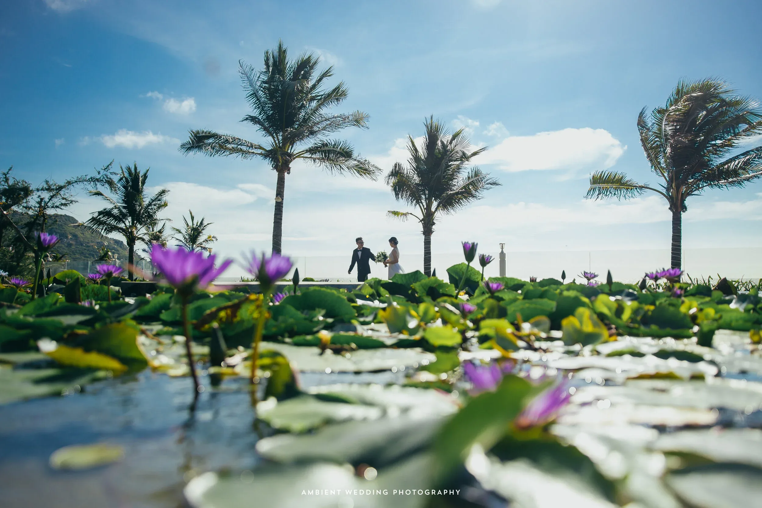 Bình & Ngân, Pre-wedding in Hồ Cốc - Vũng Tàu — Pham Si Luan Photography (4)