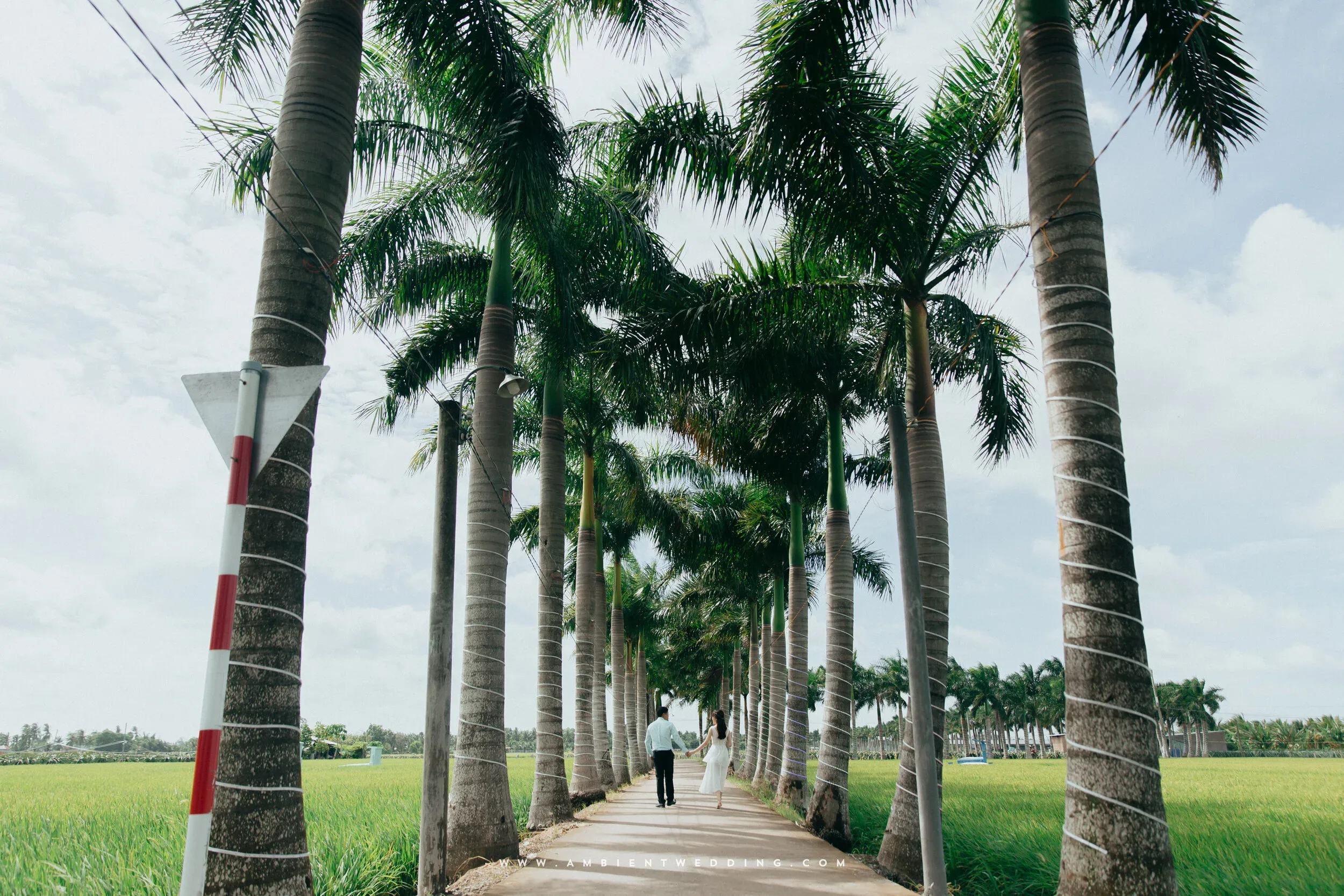 Hiển & Quỳnh, Pre-wedding in Long An — Pham Si Luan Photography (11)