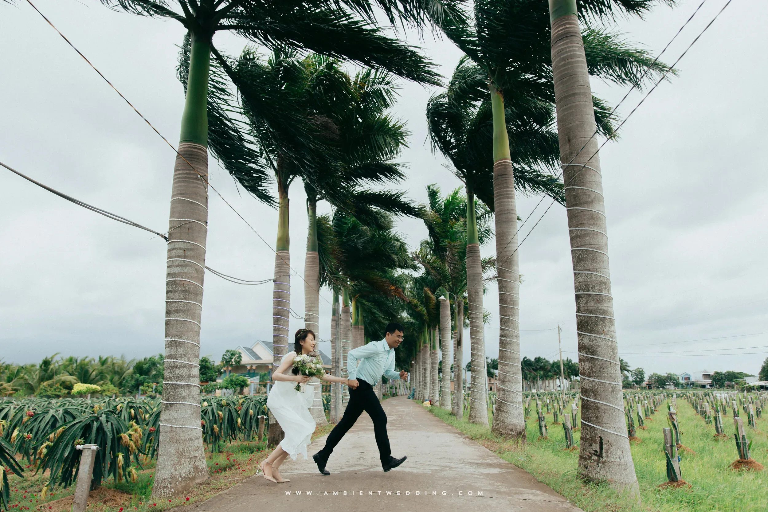Hiển & Quỳnh, Pre-wedding in Long An — Pham Si Luan Photography (13)