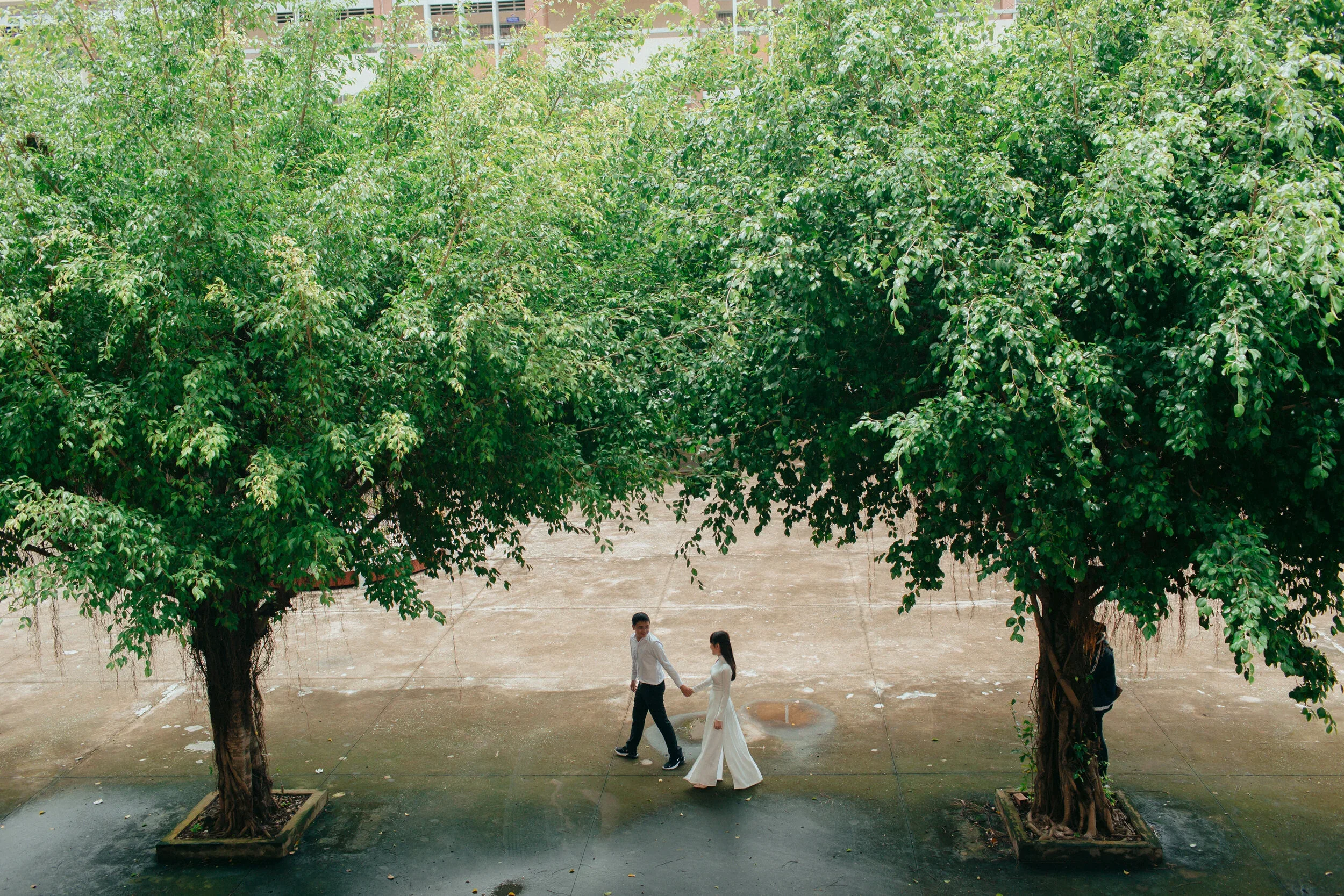 Hiển & Quỳnh, Pre-wedding in Long An — Pham Si Luan Photography (28)