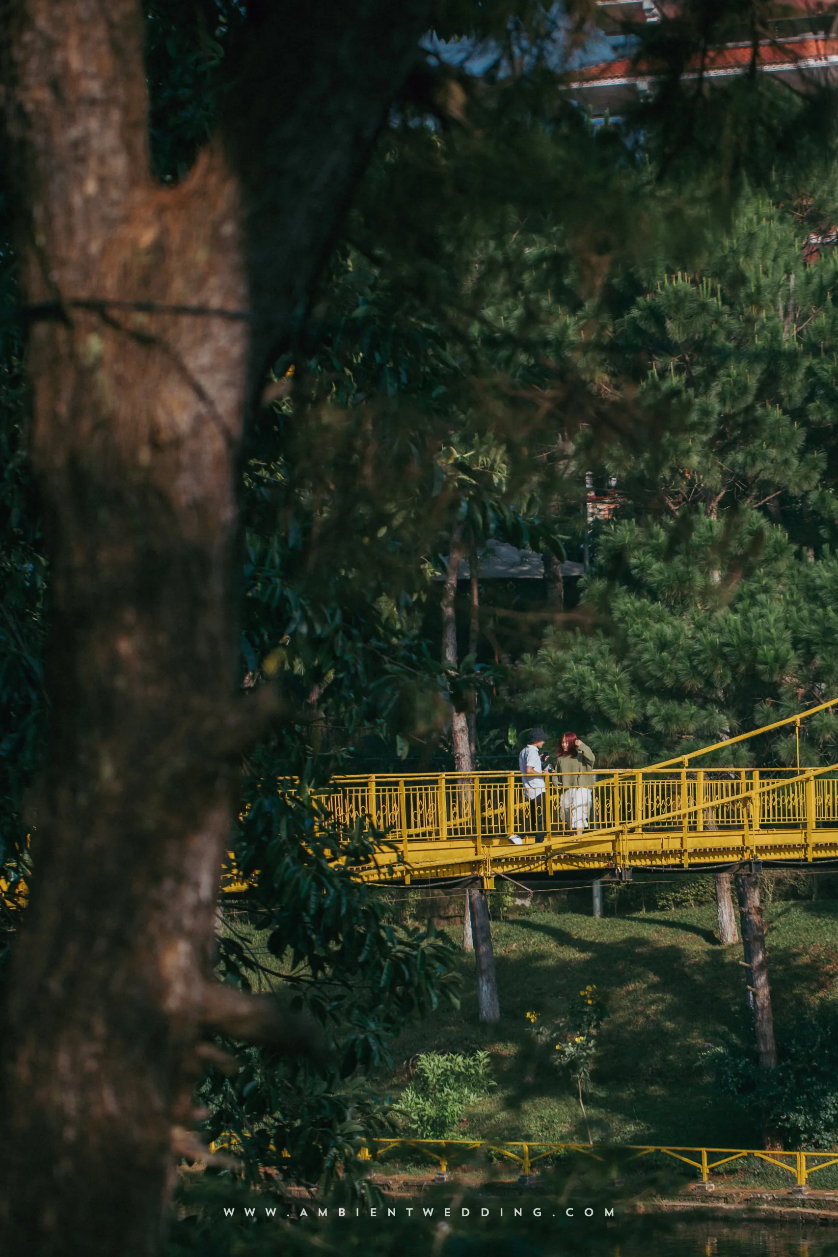 Hoà & Tiến, Pre-wedding in Gia Lai — Pham Si Luan Photography (4)