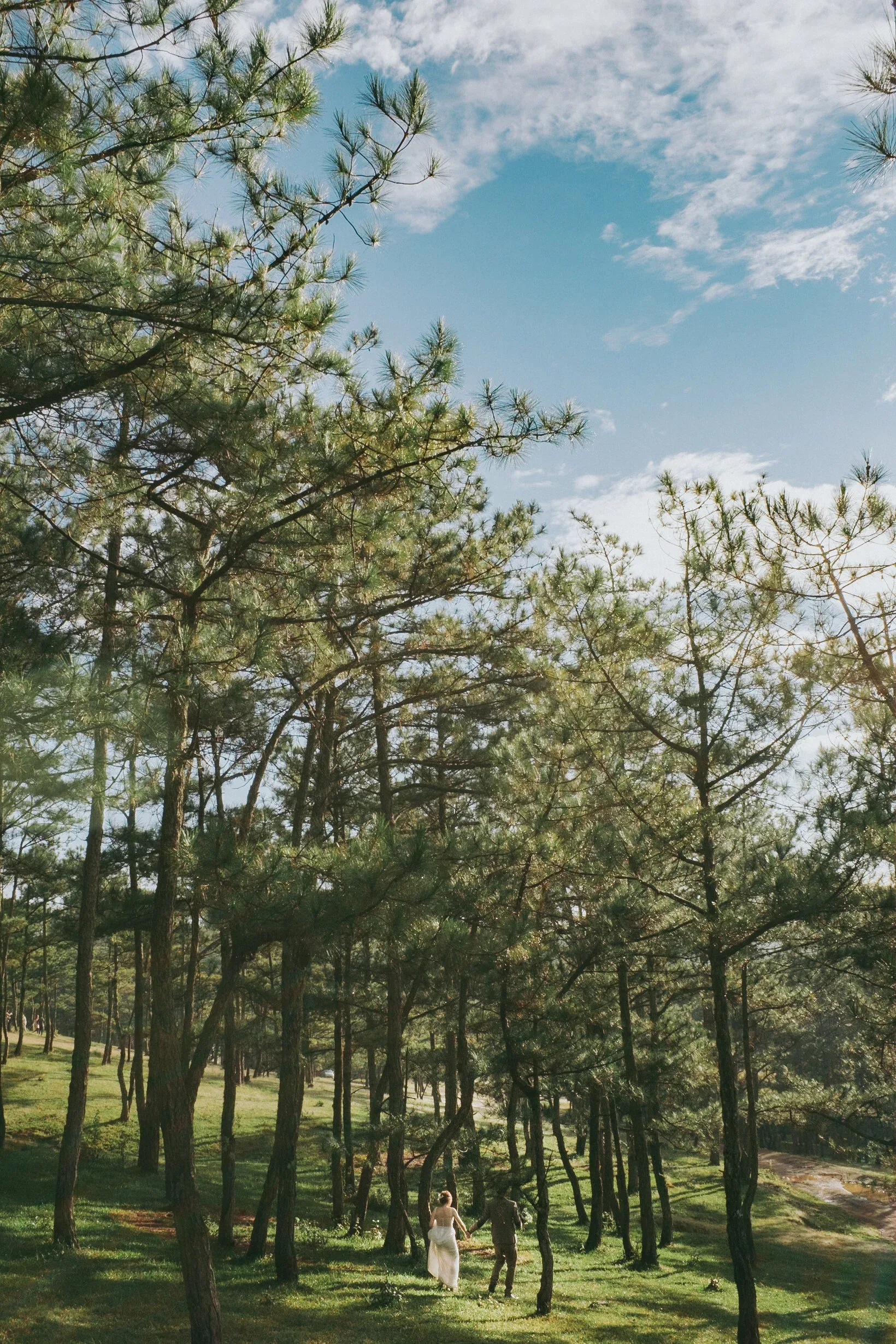 Hoa & Tùng, Pre-wedding in Đà Lạt — Pham Si Luan Photography (1)