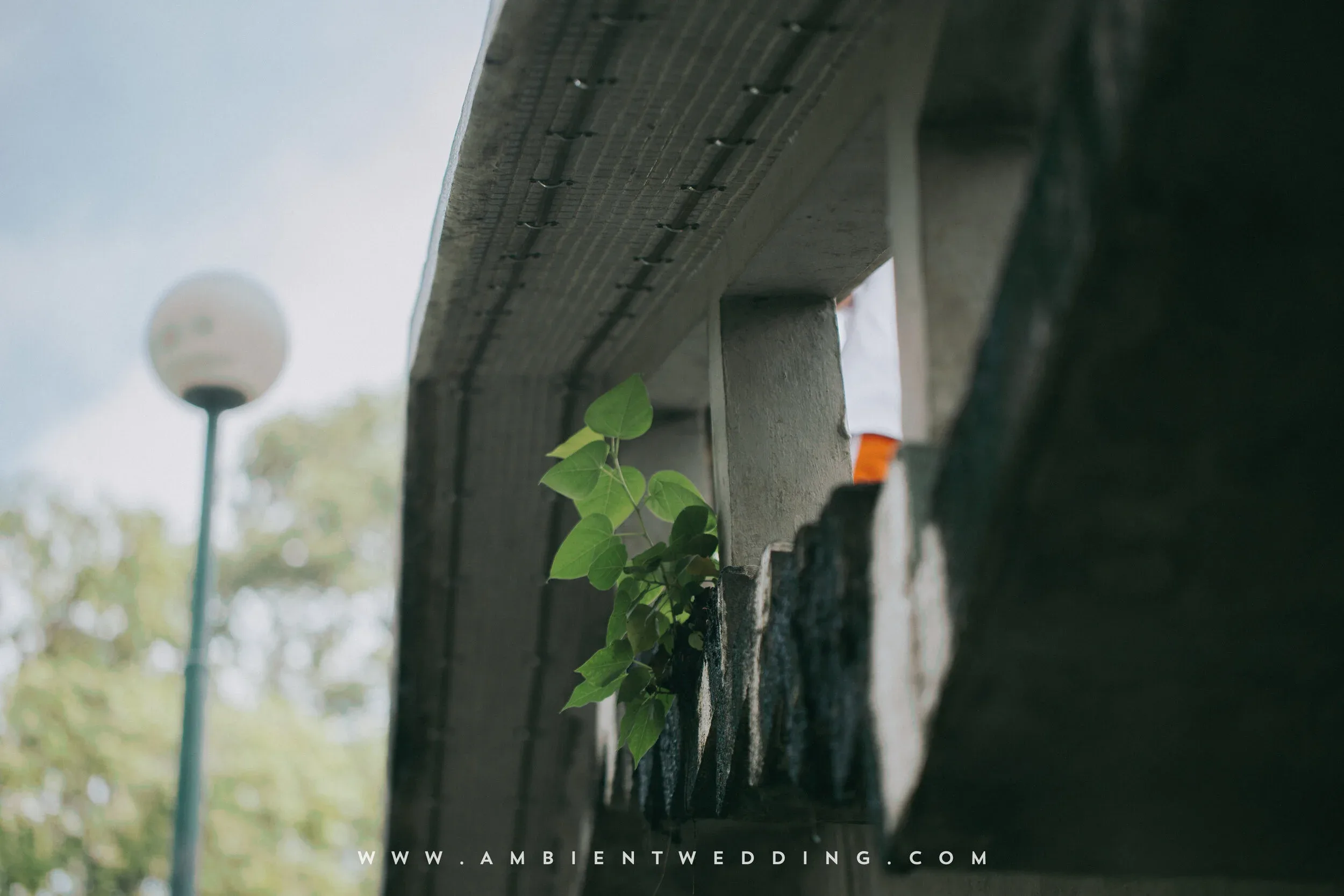 Ngân & Cường, Pre-wedding in Sài Gòn — Pham Si Luan Photography (1)