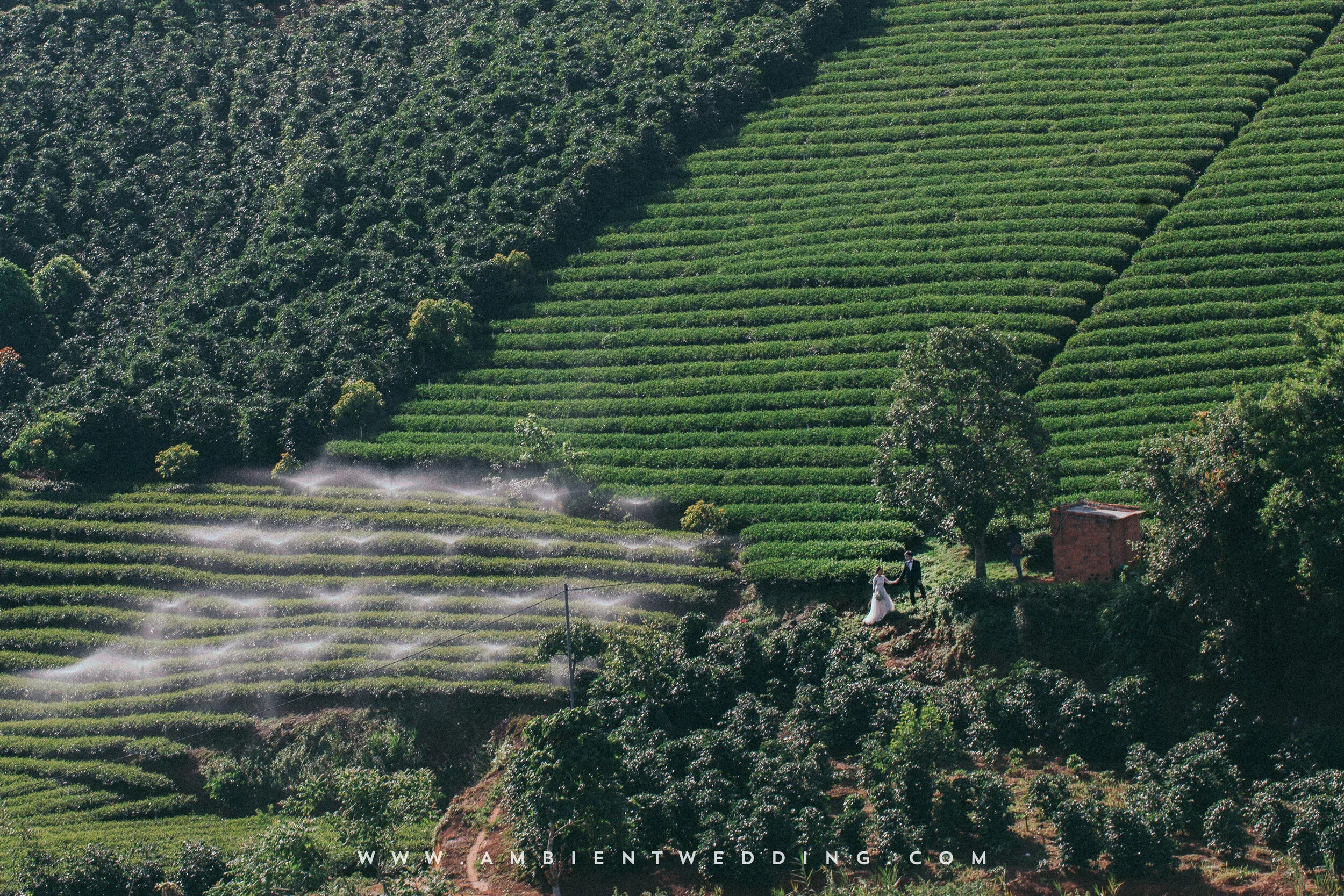 Ngọc & Sinh, Pre-wedding in Đà Lạt — Pham Si Luan Photography (23)