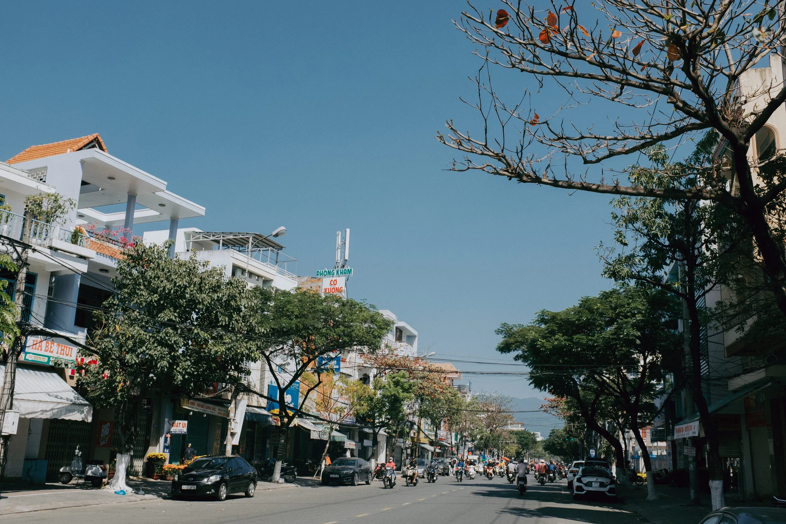 354 Tết 2020 — Pham Si Luan Photography (1)