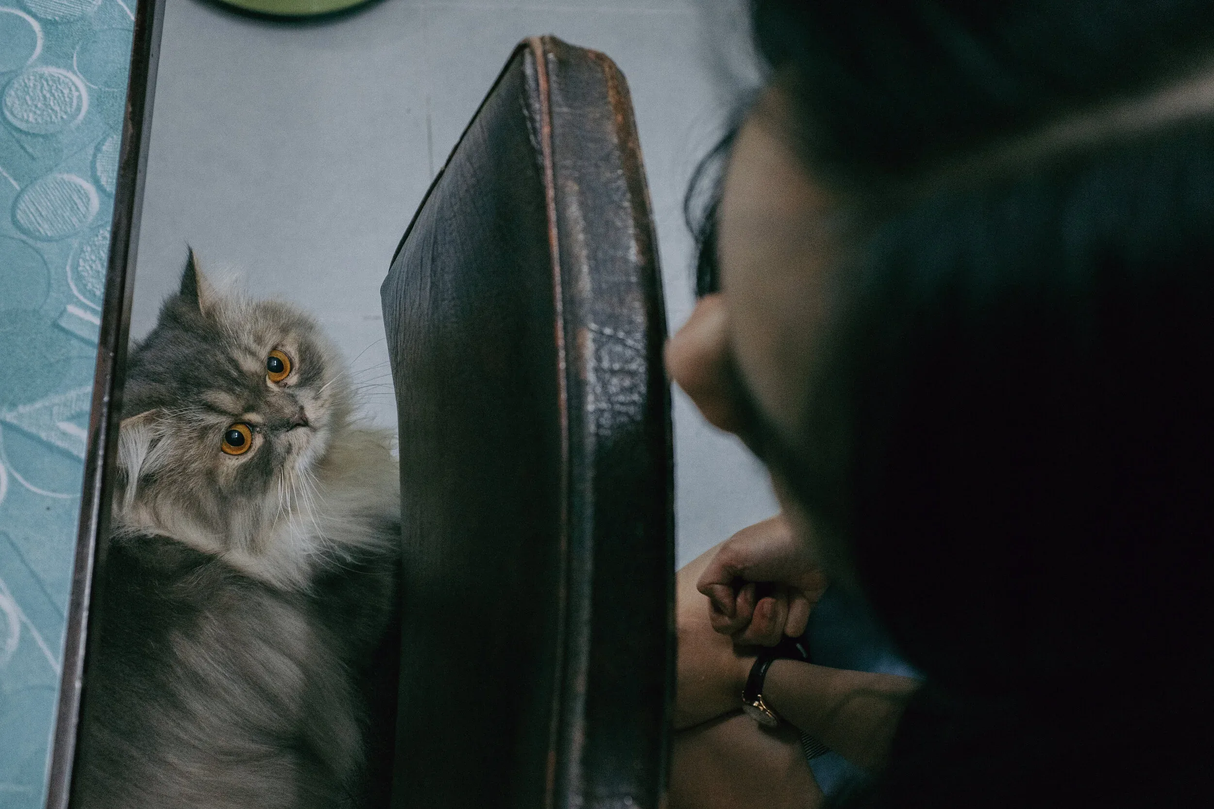 354 Tết 2020 — Pham Si Luan Photography (82)