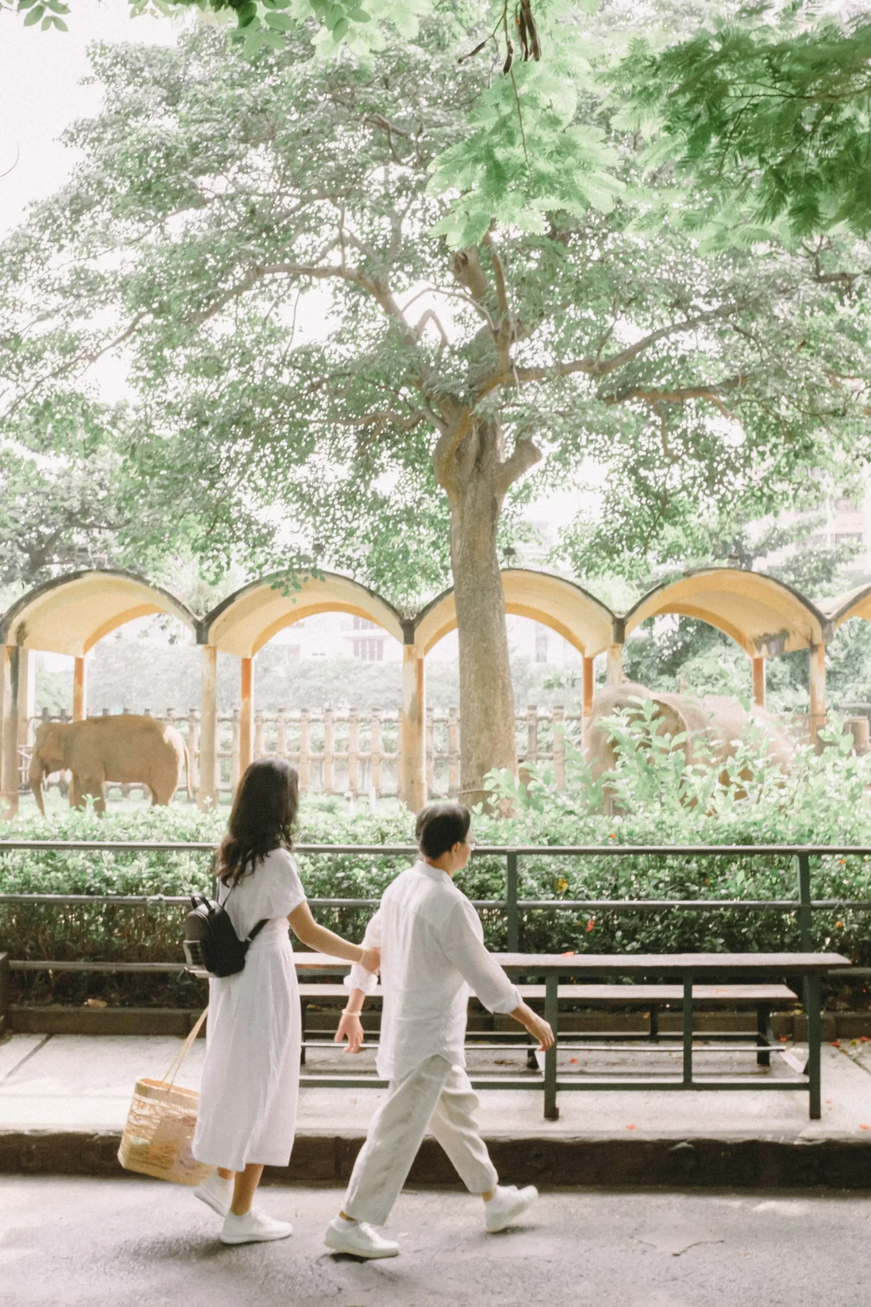 Chị Trang & Cô Năm — Pham Si Luan Photography (2)