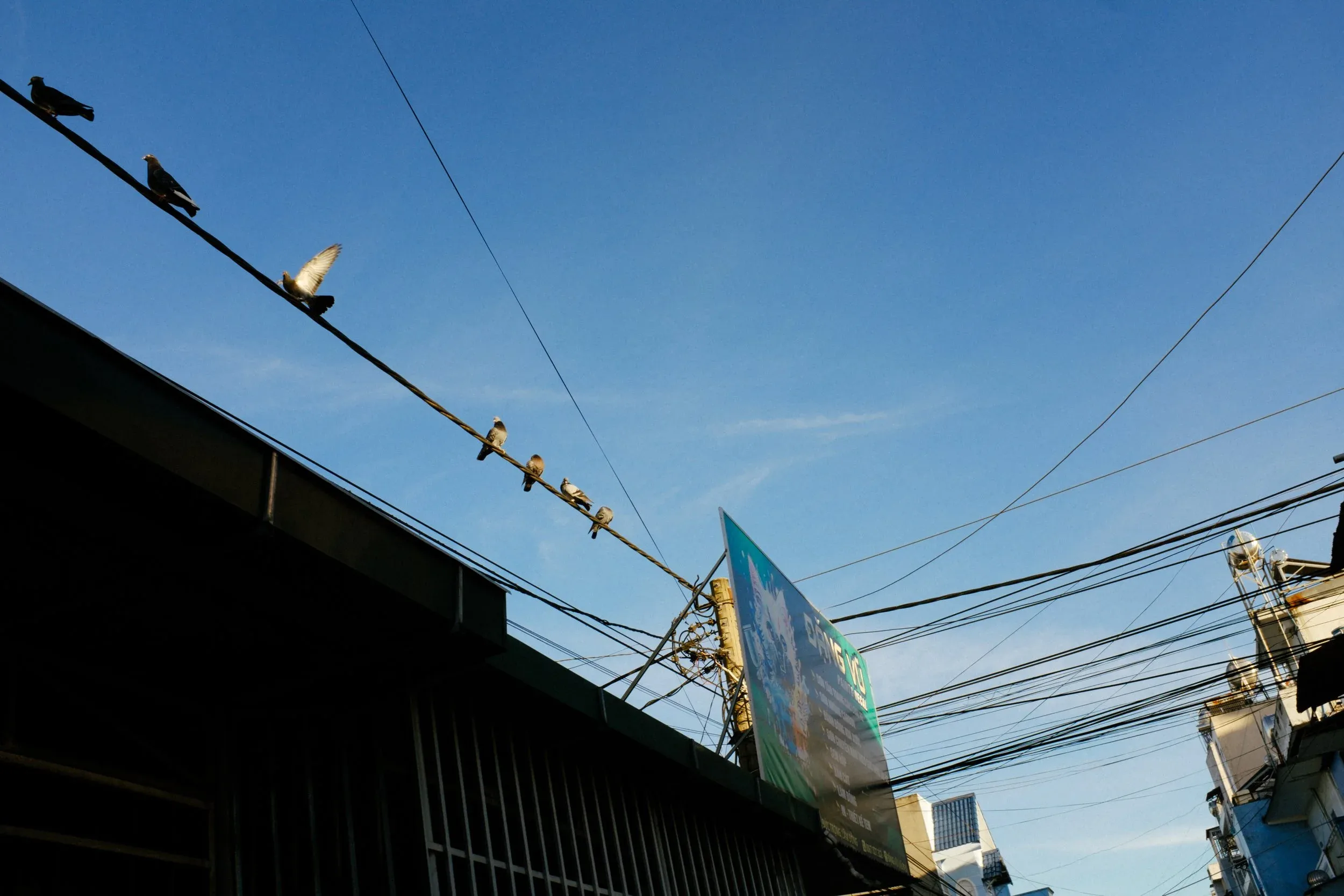 Đi Chơi, Đi Đám Cưới — Pham Si Luan Photography (4)