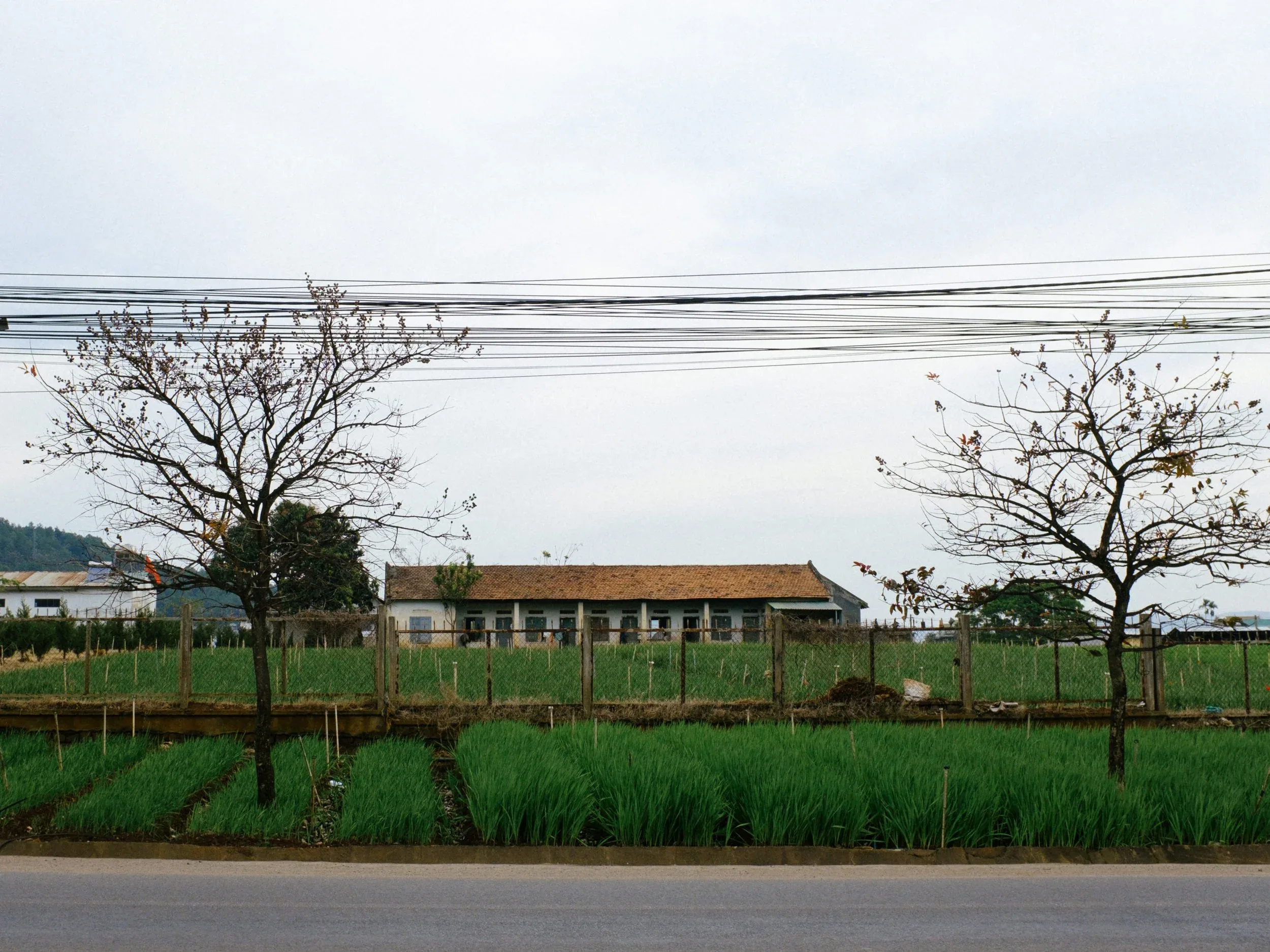Đi Chơi, Đi Đám Cưới — Pham Si Luan Photography (38)