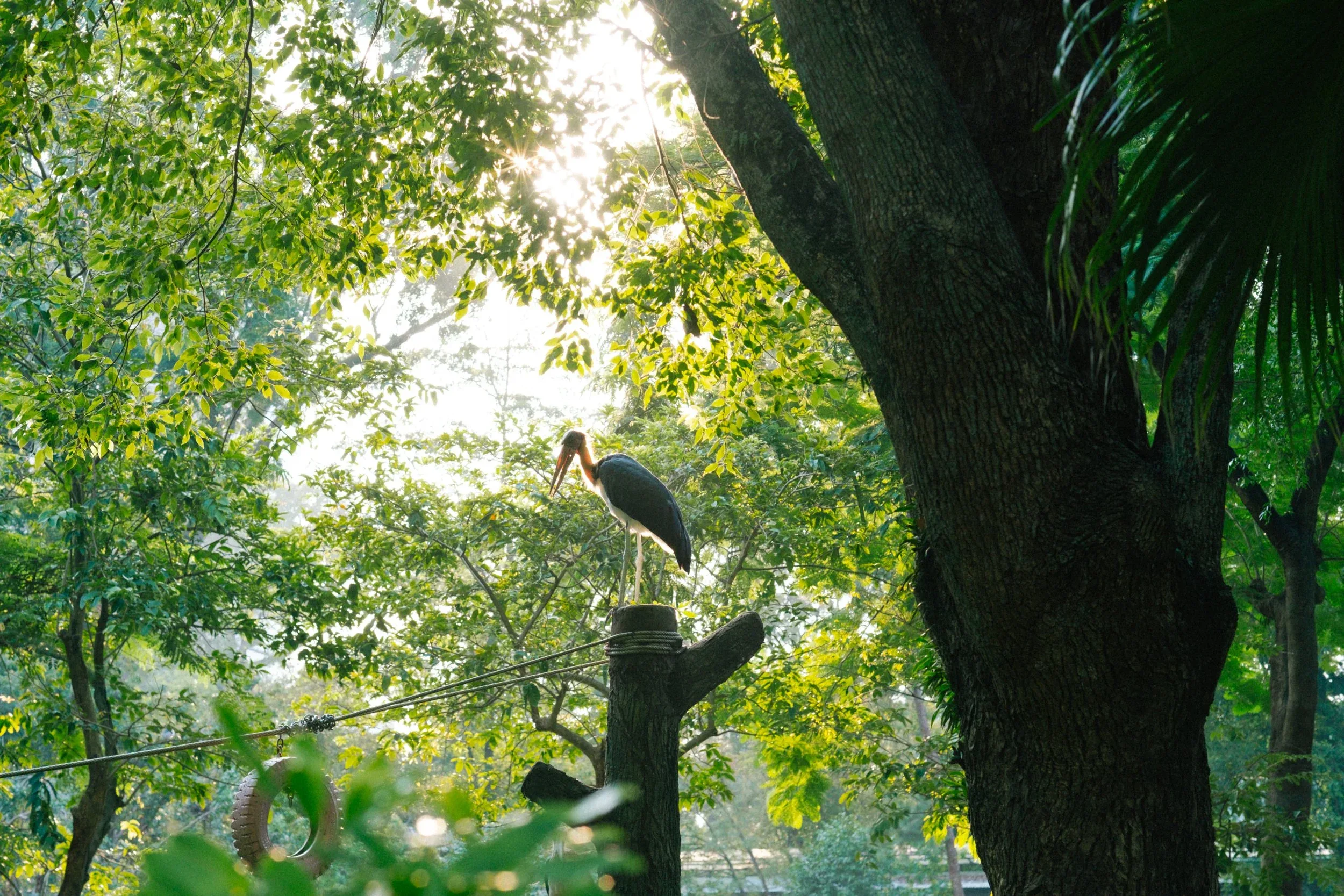 Family Photography for Visitors in Saigon (Zoo & Waterbus) — Pham Si Luan Photography (1)