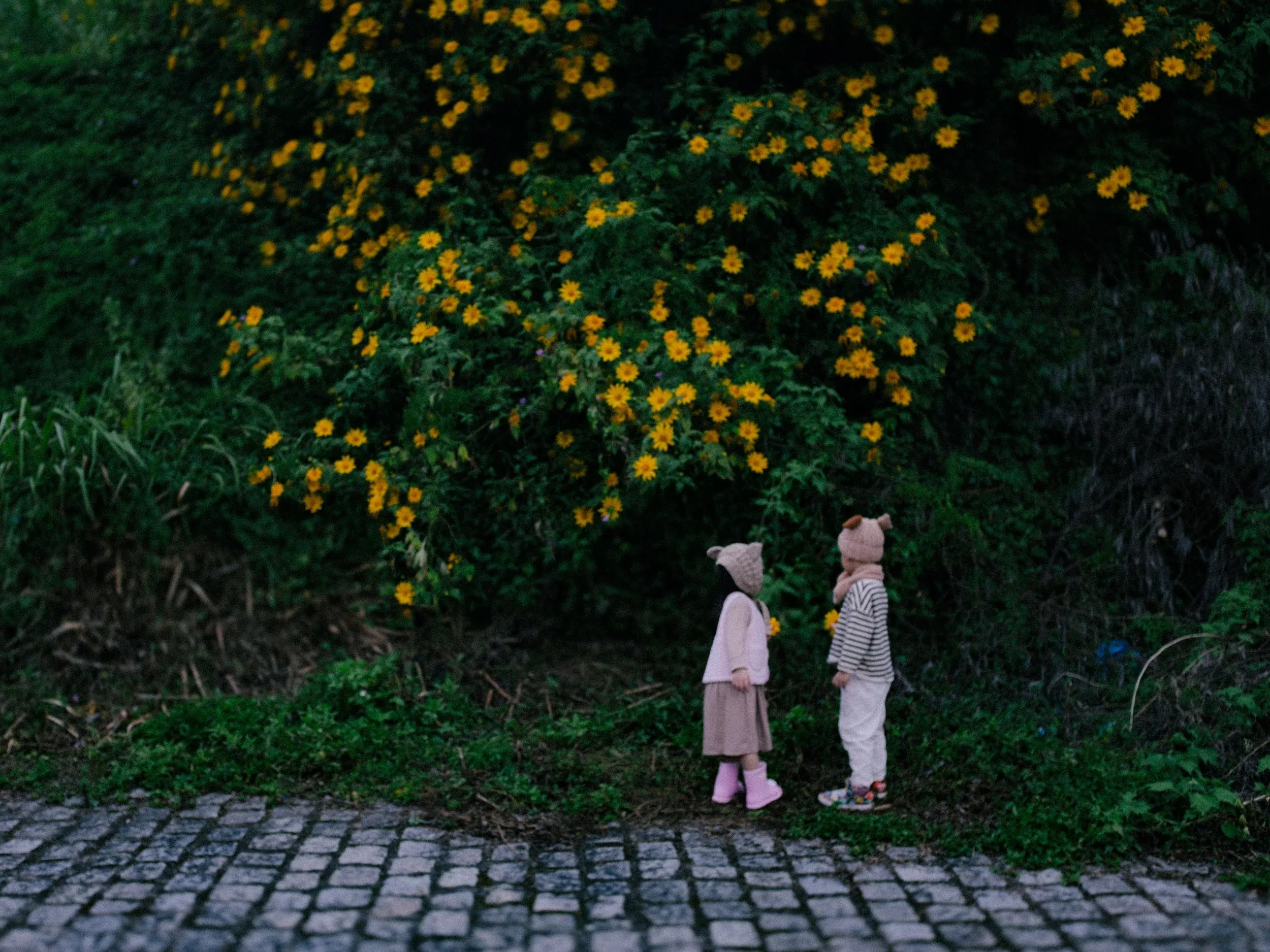 Gặp Nhau Mỗi Đông 2024 — Pham Si Luan Photography (1)