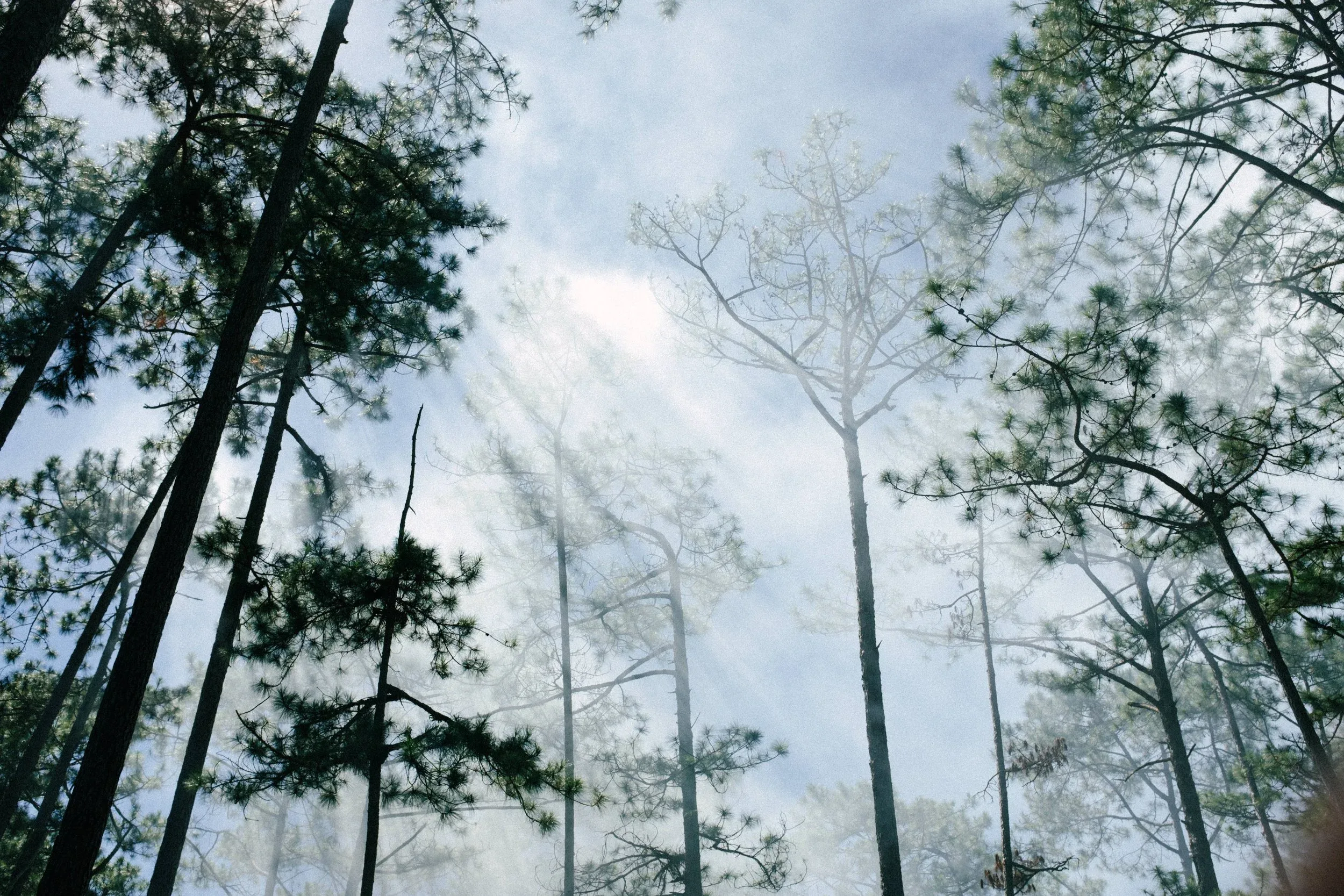 Gặp Nhau Mỗi Đông 2024 — Pham Si Luan Photography (23)