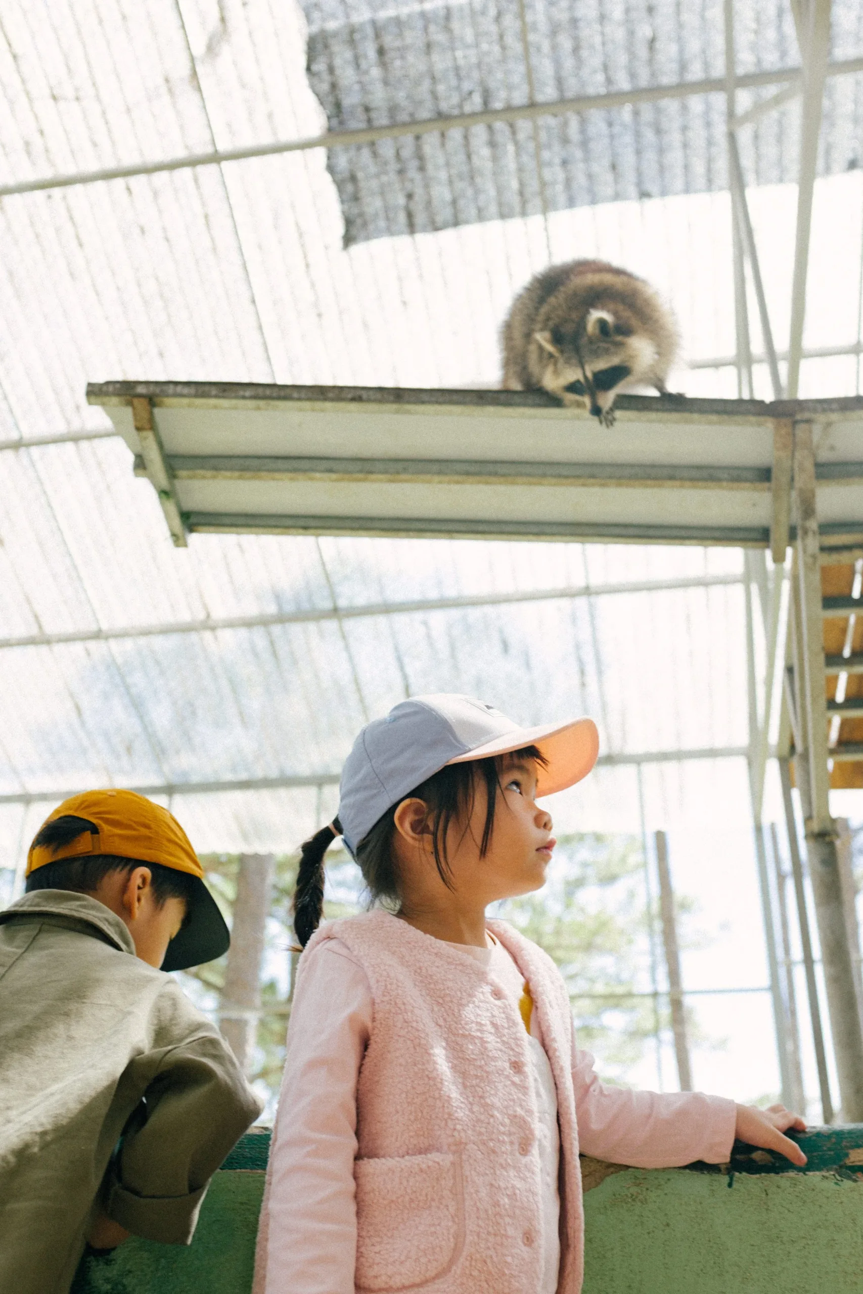 Gặp Nhau Mỗi Đông 2024 — Pham Si Luan Photography (28)