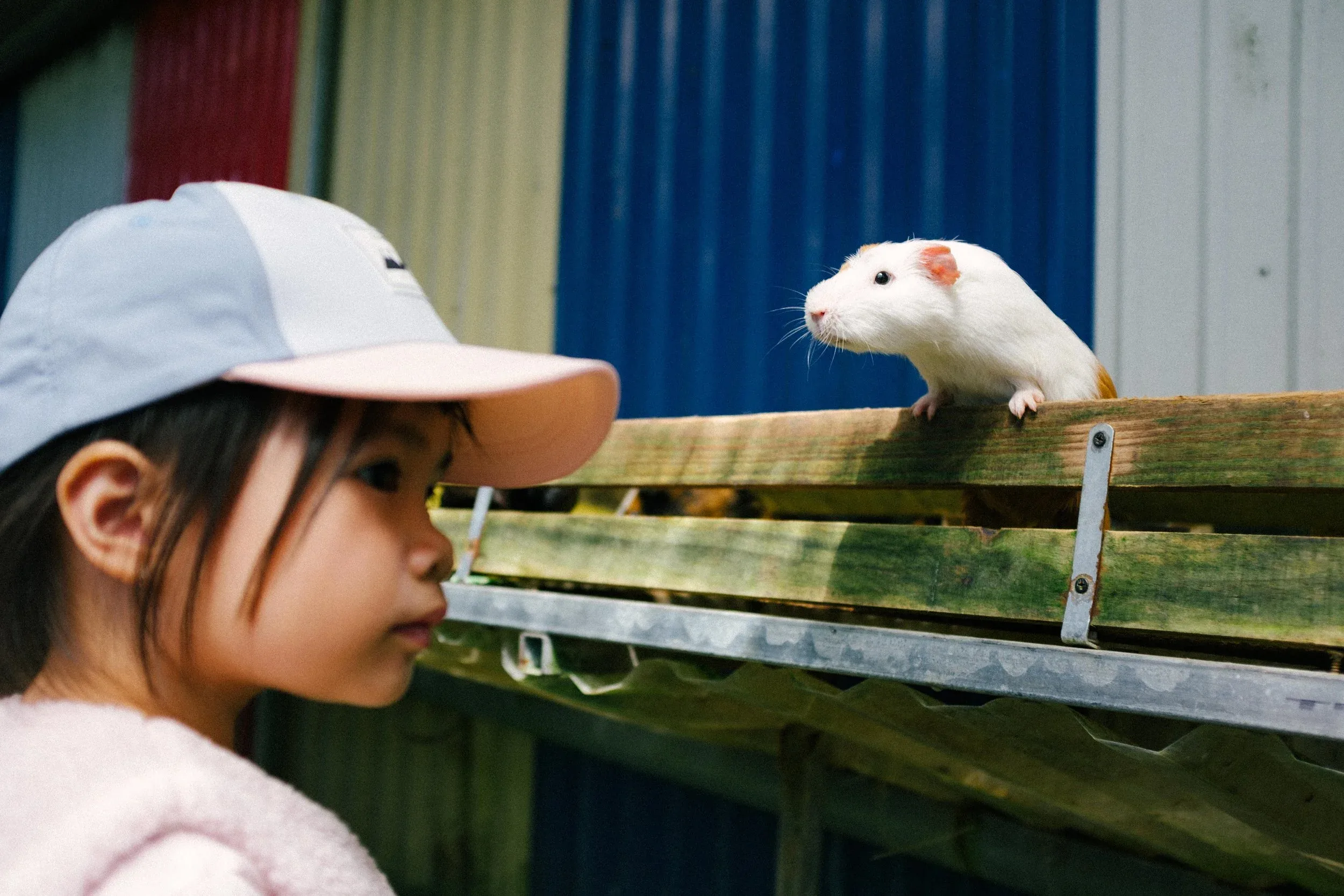Gặp Nhau Mỗi Đông 2024 — Pham Si Luan Photography (30)