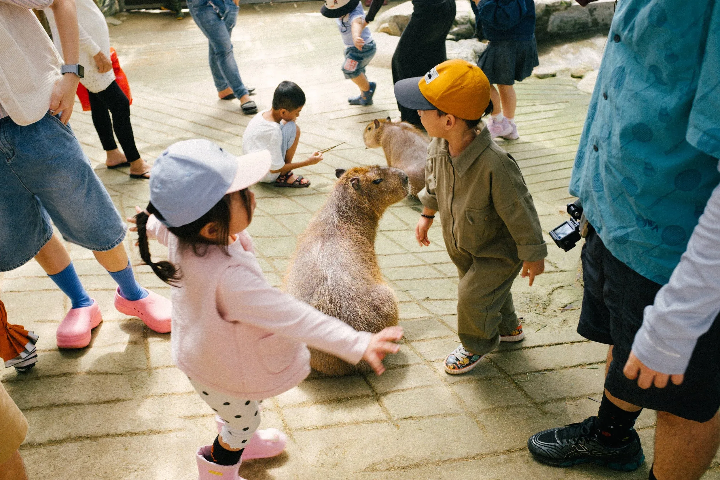 Gặp Nhau Mỗi Đông 2024 — Pham Si Luan Photography (34)