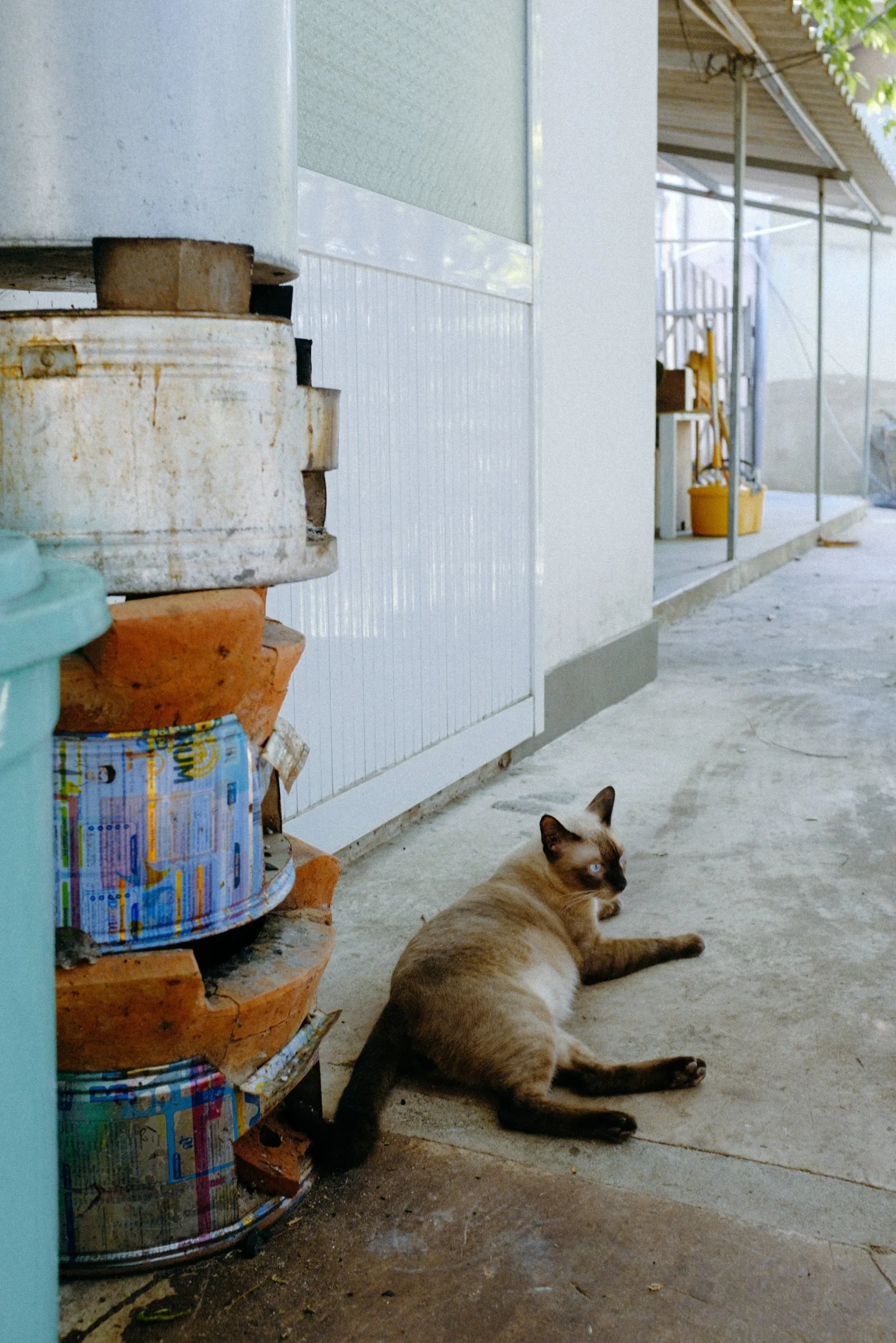 Gặp Nhau Mỗi Hè 2024 — Pham Si Luan Photography (12)