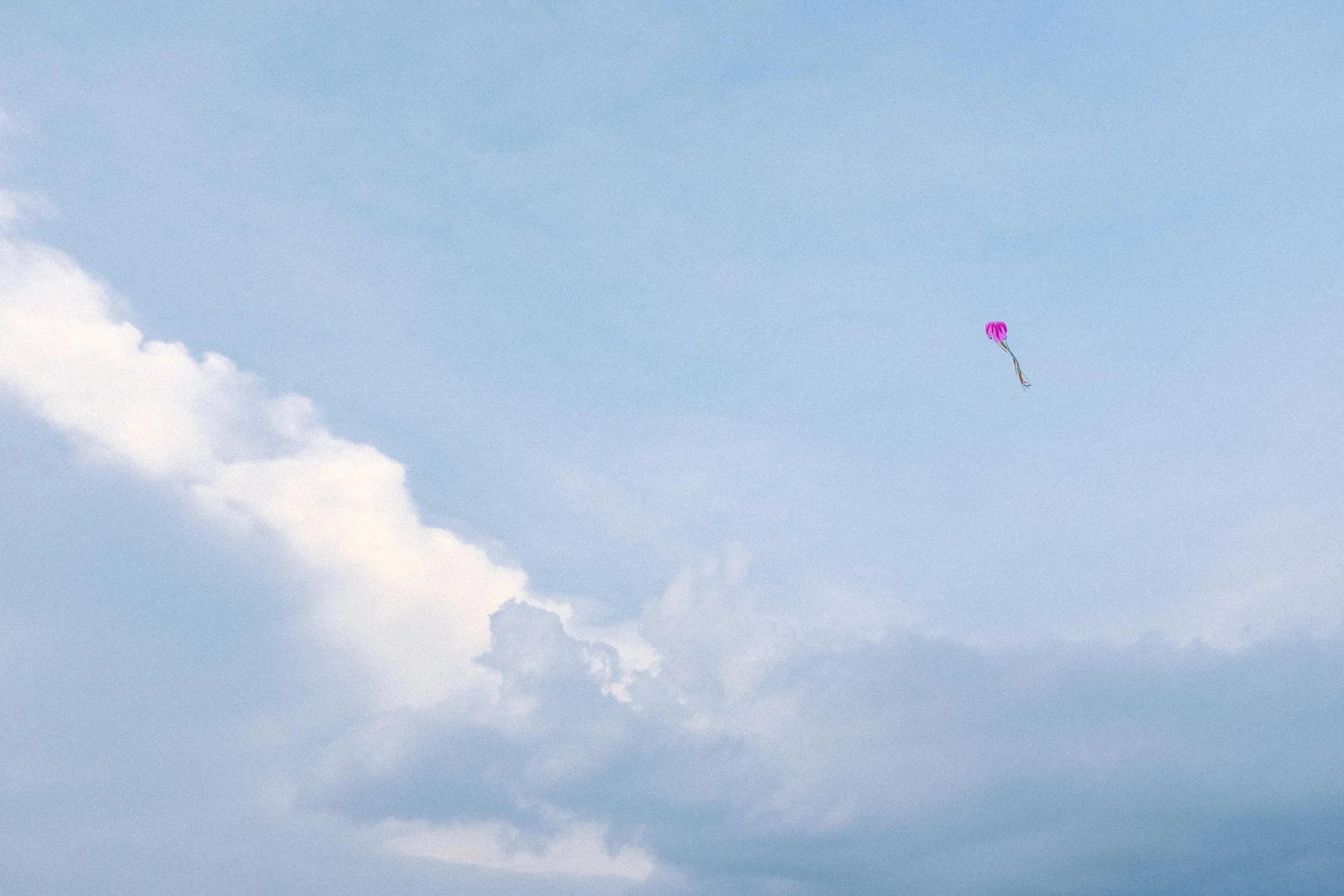 Gặp Nhau Mỗi Hè 2024 — Pham Si Luan Photography (38)