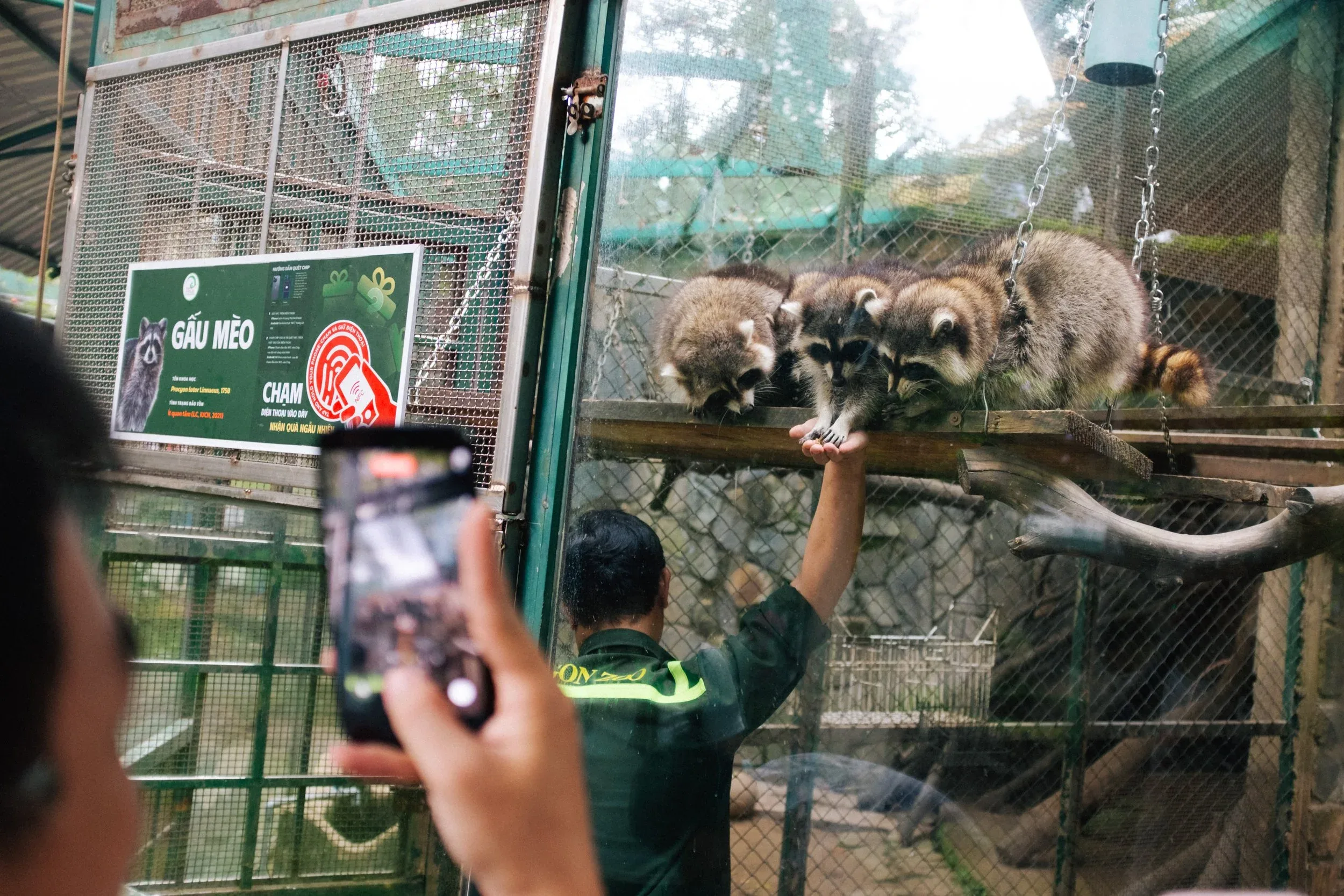 Nhà Thư Tứn Trứng Múi — Pham Si Luan Photography (43)