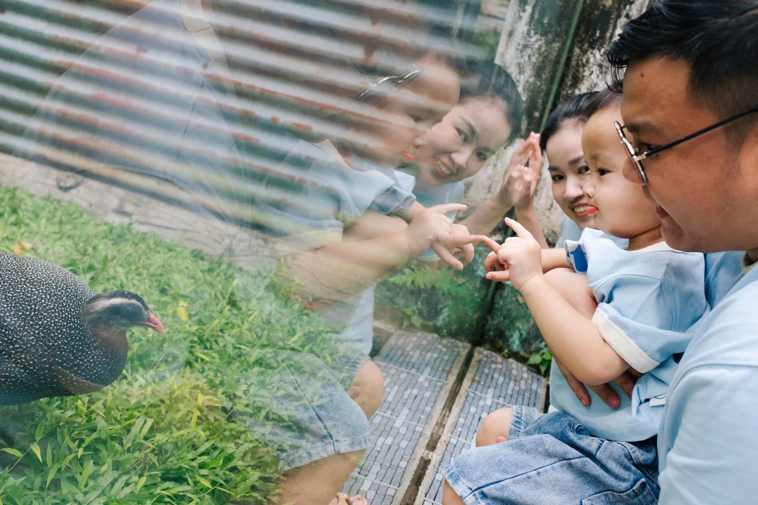 Nhà Thư Tứn Trứng Múi — Pham Si Luan Photography (67)