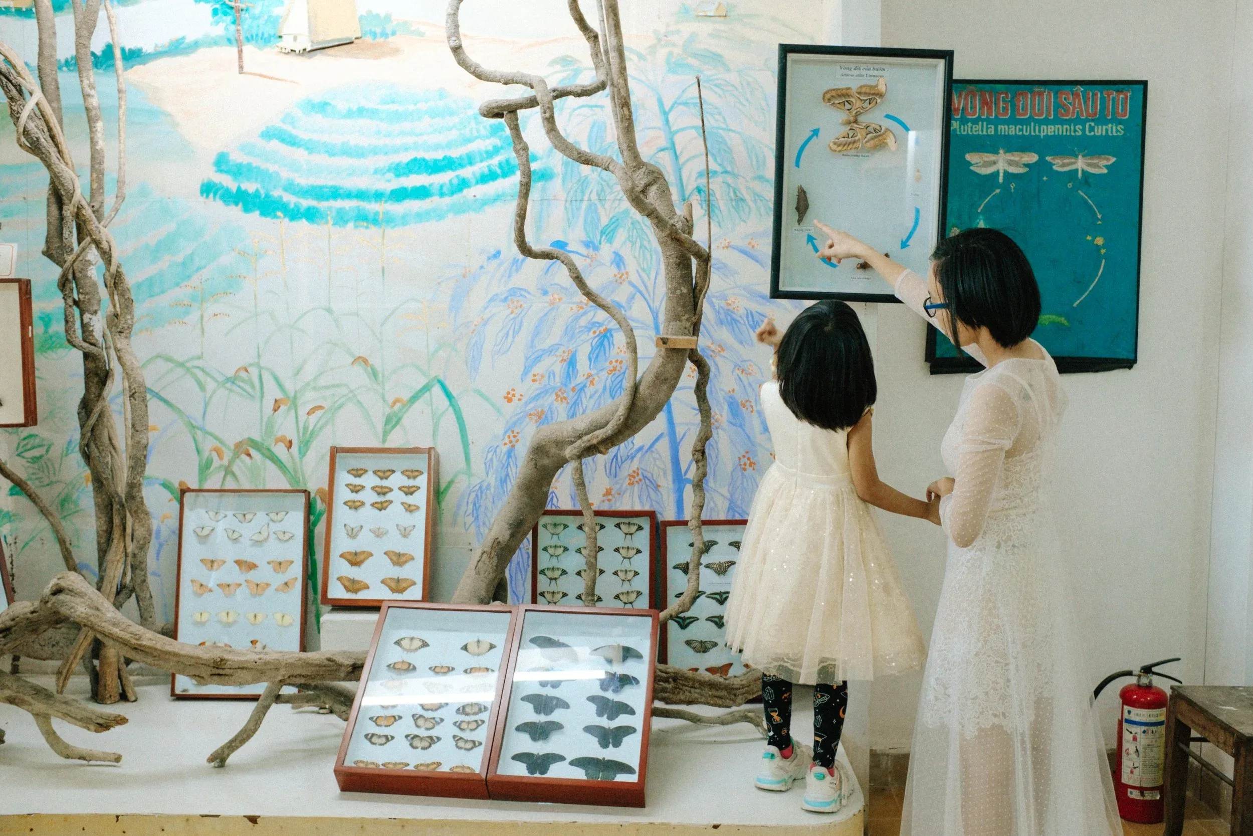 Da Lat Journey – Tu & Xiu — Pham Si Luan Photography (33)