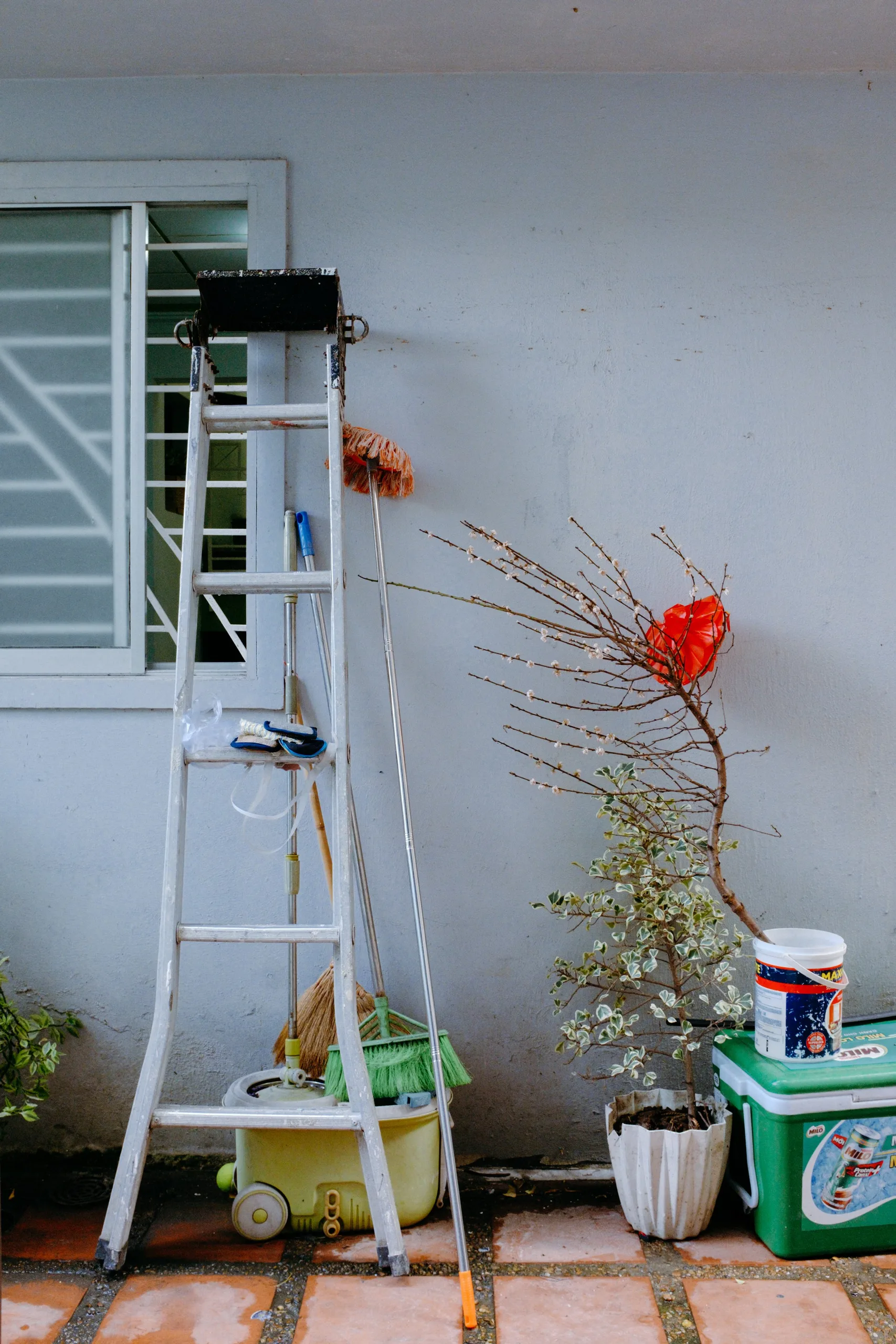 Nhà Tết 2024 — Pham Si Luan Photography (1)