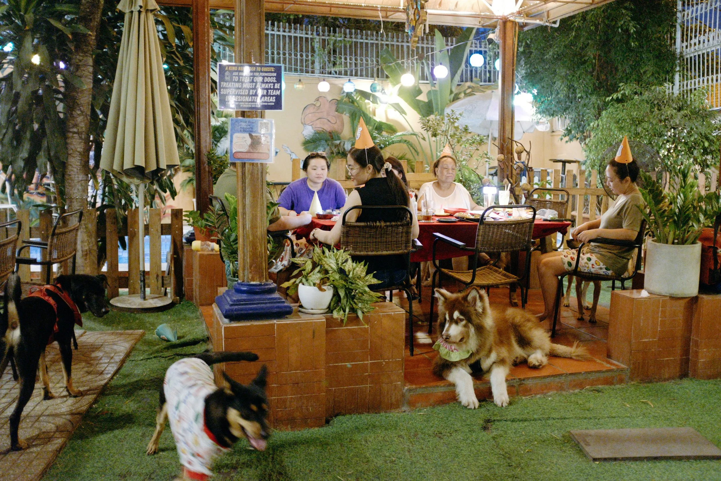 Sinh Nhật Bến Dừa — Pham Si Luan Photography (41)
