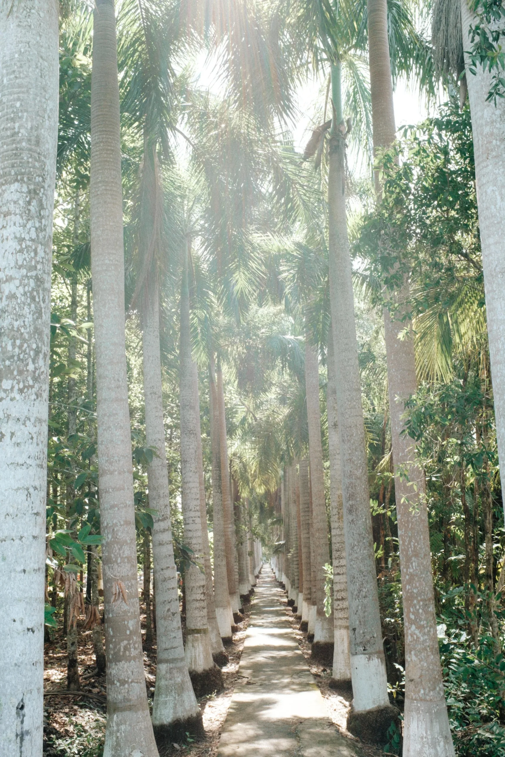 Trần Family Reunion Trip 2024 — Pham Si Luan Photography (29)