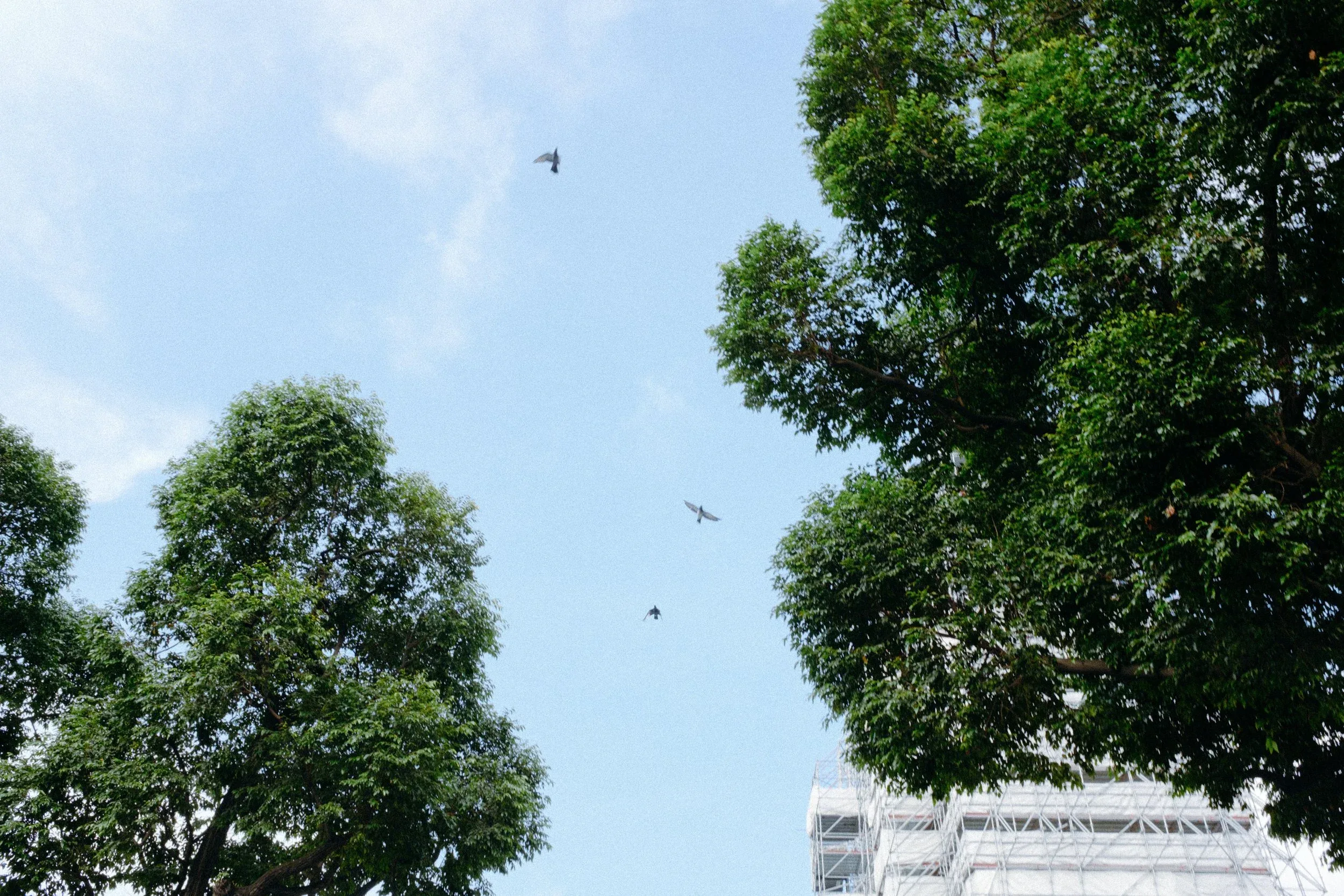 Tú, Khôi & Mẹs — Pham Si Luan Photography (1)