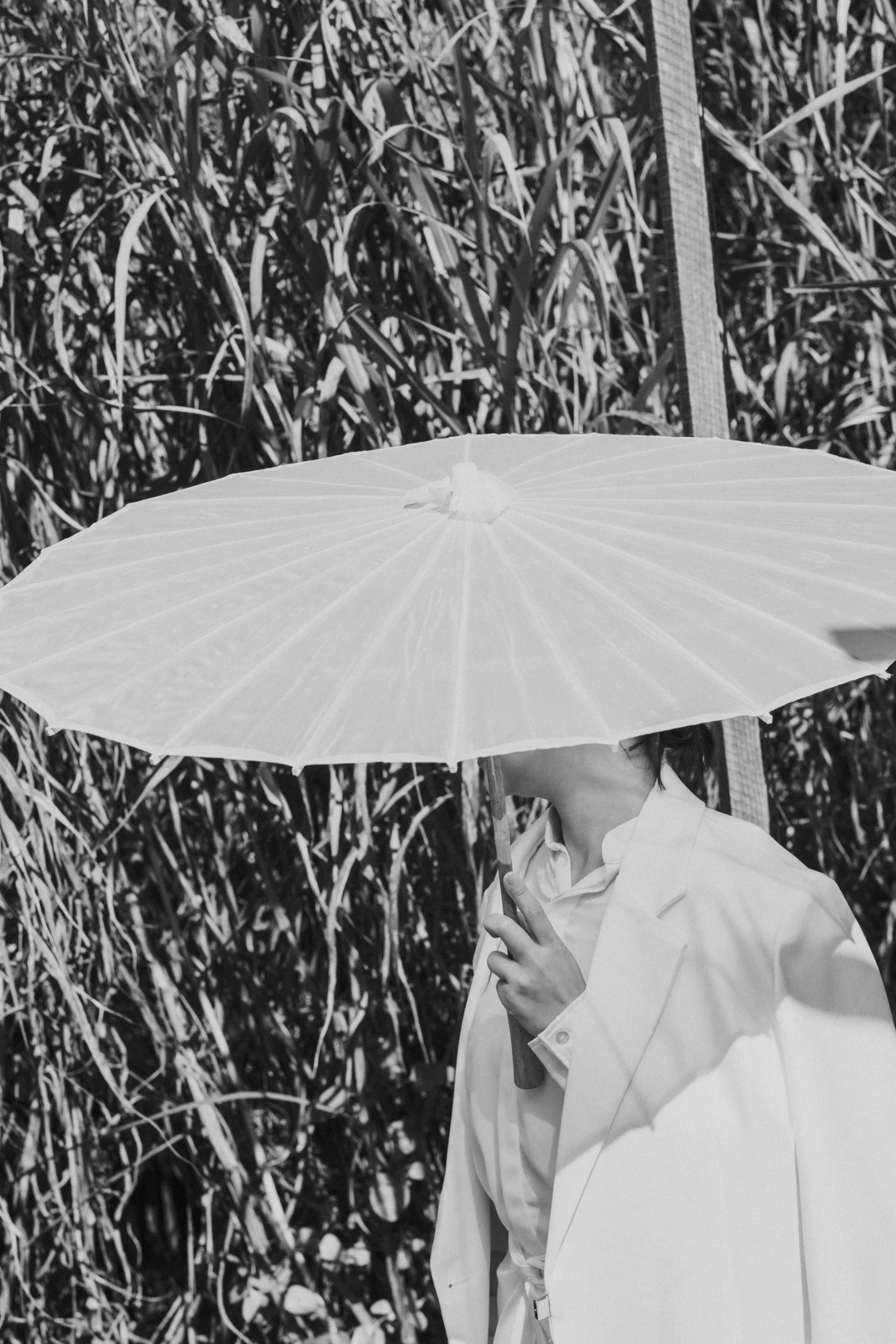 An & Joe, Wedding Day in Đà Lạt — Pham Si Luan Photography (18)