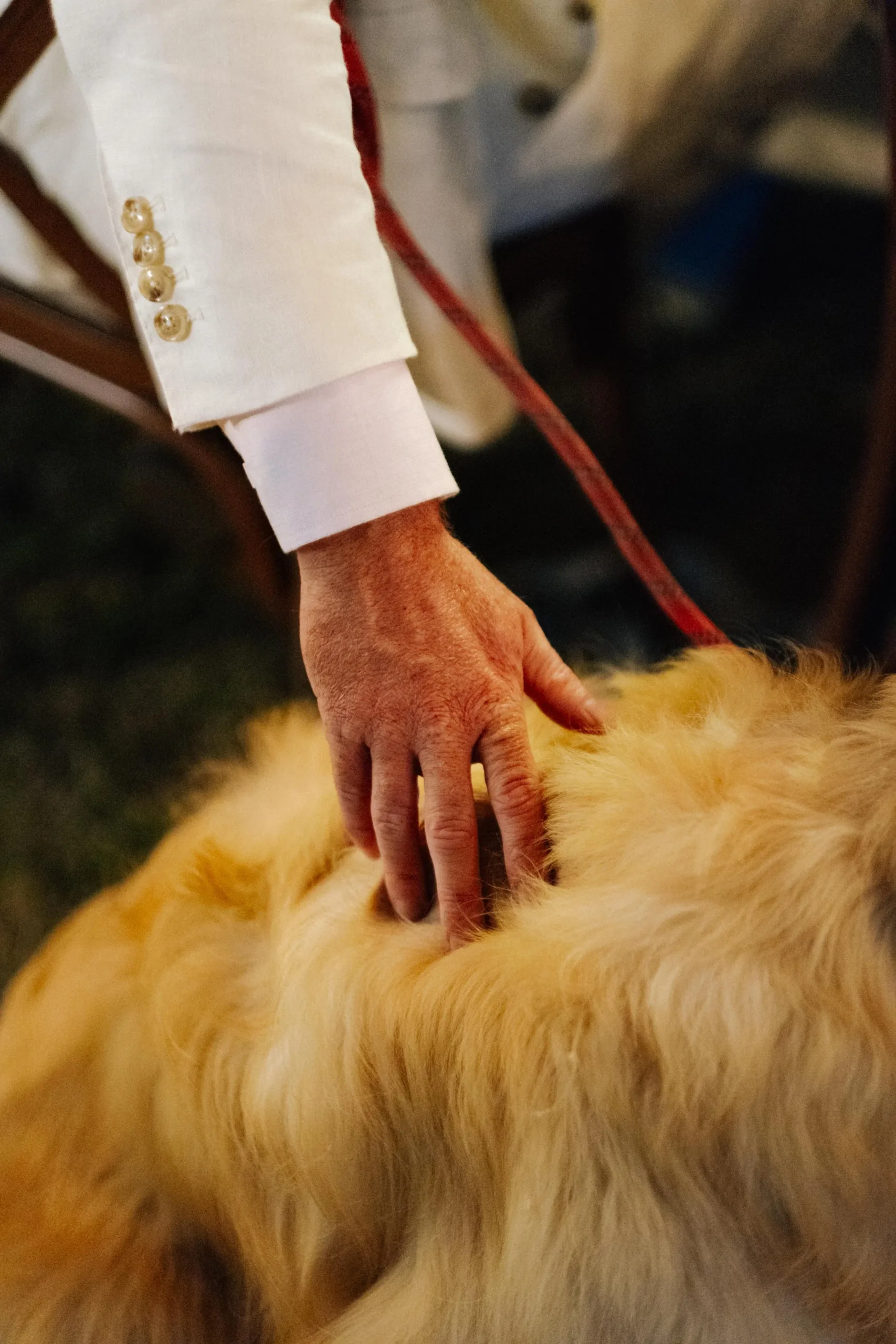 Hà & Daniel, Intimate British-Vietnamese Wedding at LA Garden & Private Home — Pham Si Luan Photography (187)