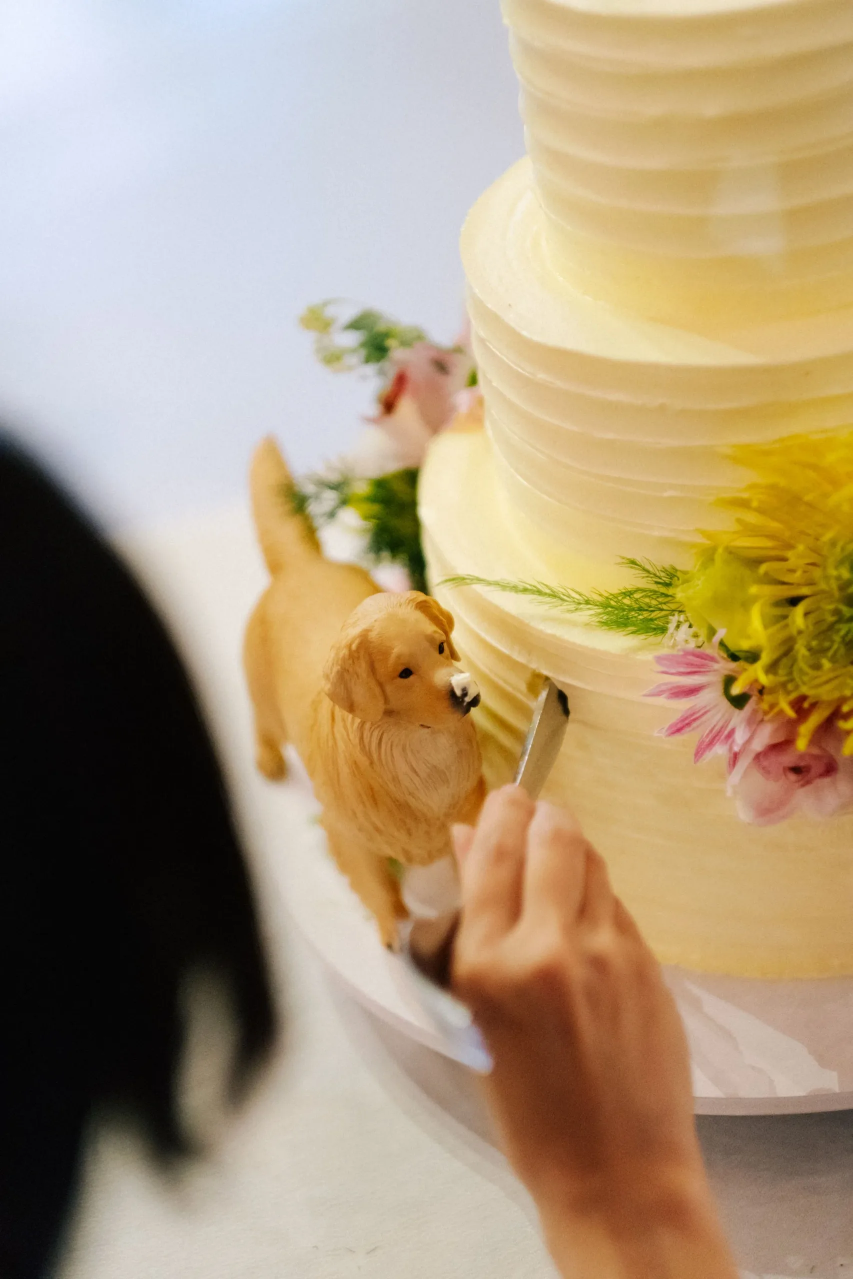 Hà & Daniel, Intimate British-Vietnamese Wedding at LA Garden & Private Home — Pham Si Luan Photography (195)