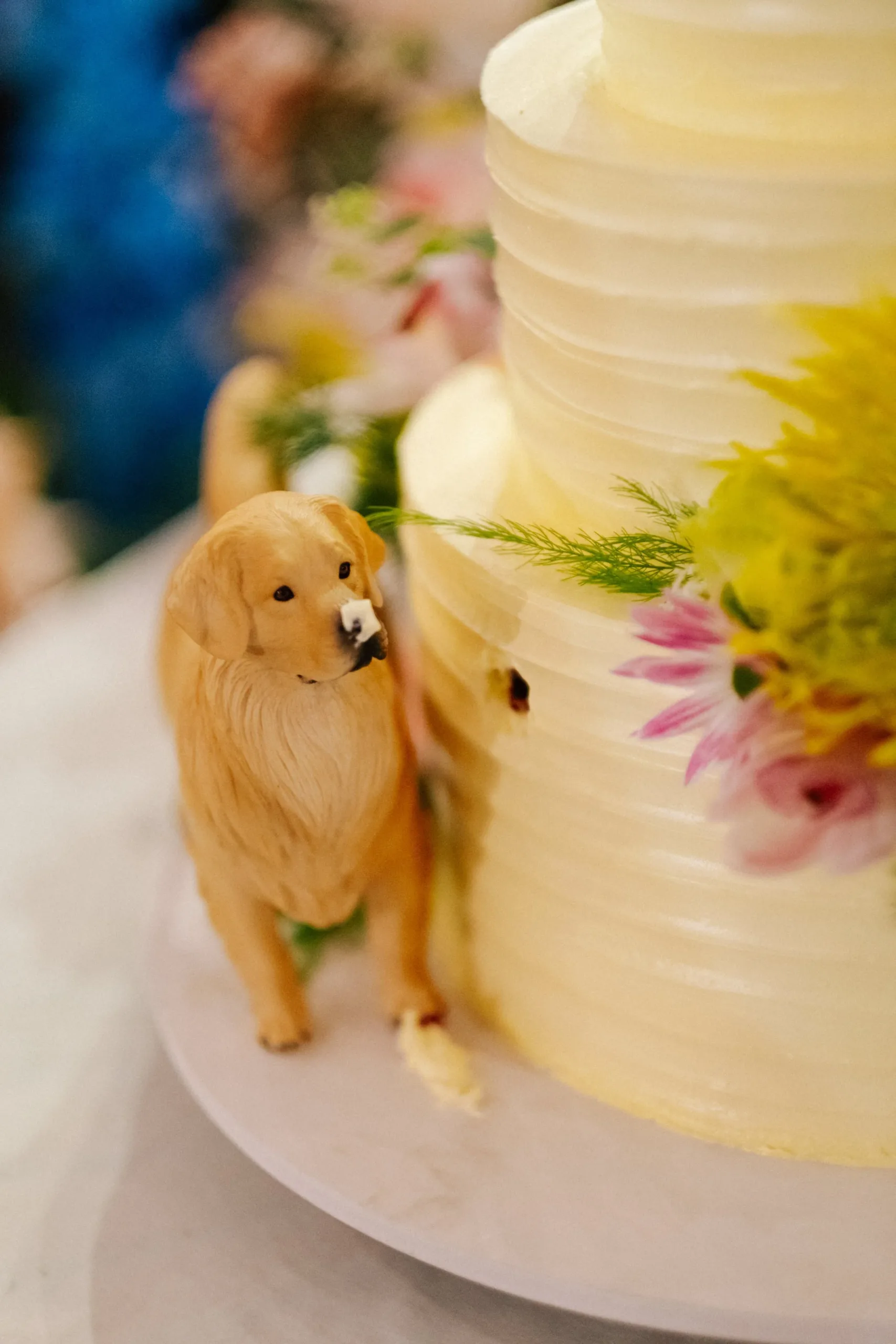 Hà & Daniel, Intimate British-Vietnamese Wedding at LA Garden & Private Home — Pham Si Luan Photography (196)