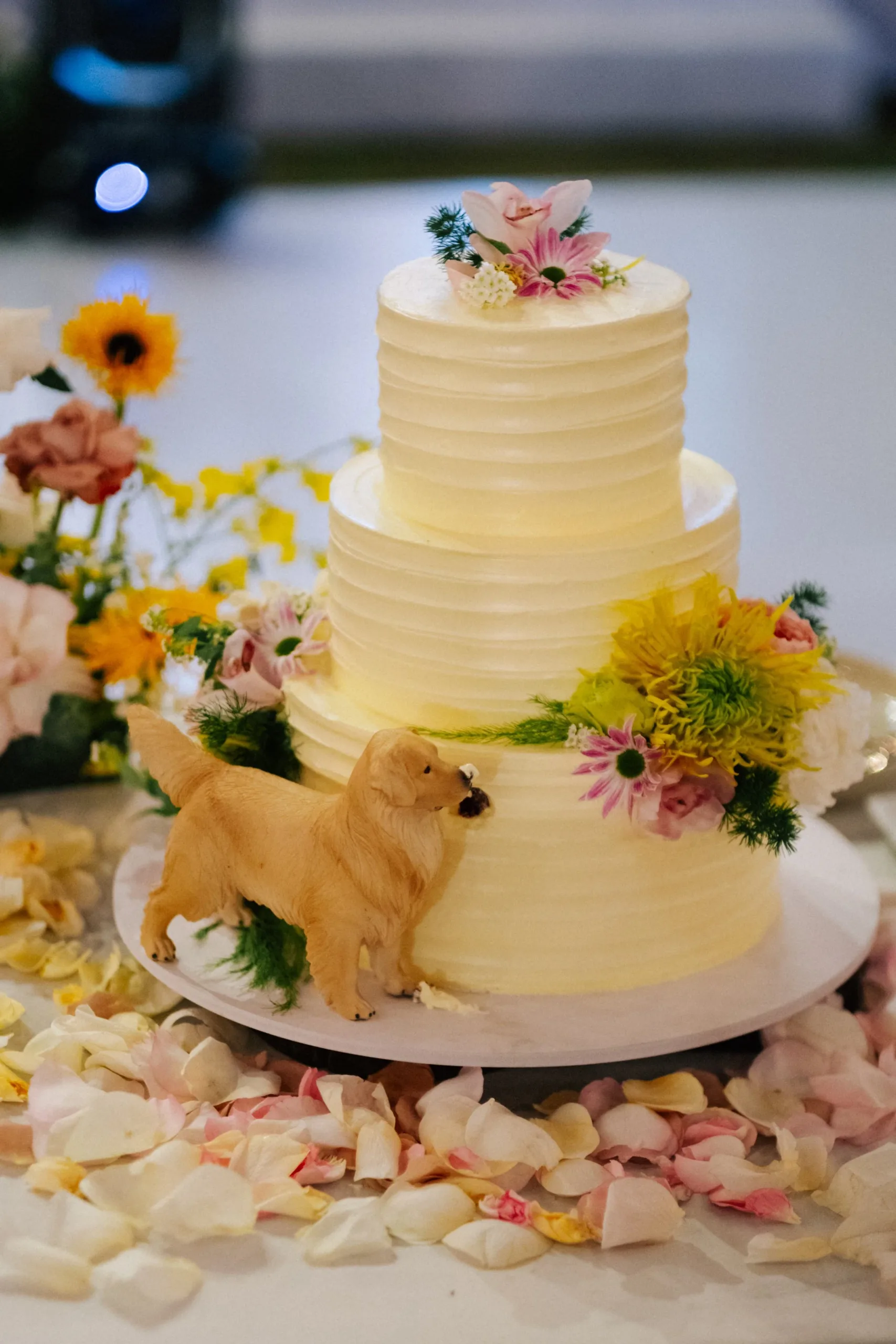 Hà & Daniel, Intimate British-Vietnamese Wedding at LA Garden & Private Home — Pham Si Luan Photography (200)