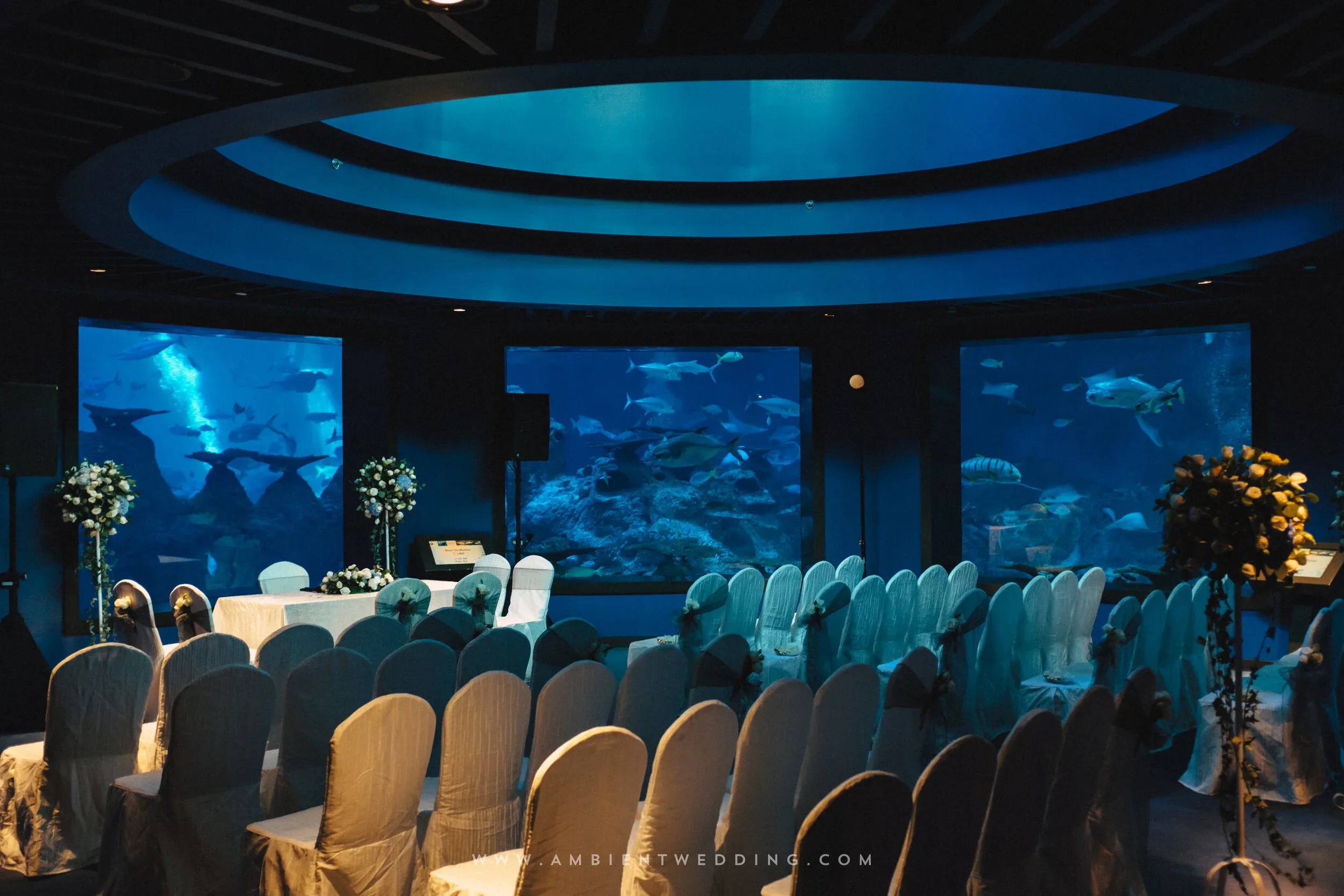 HA & YC, Wedding Day in Singapore — Pham Si Luan Photography (23)