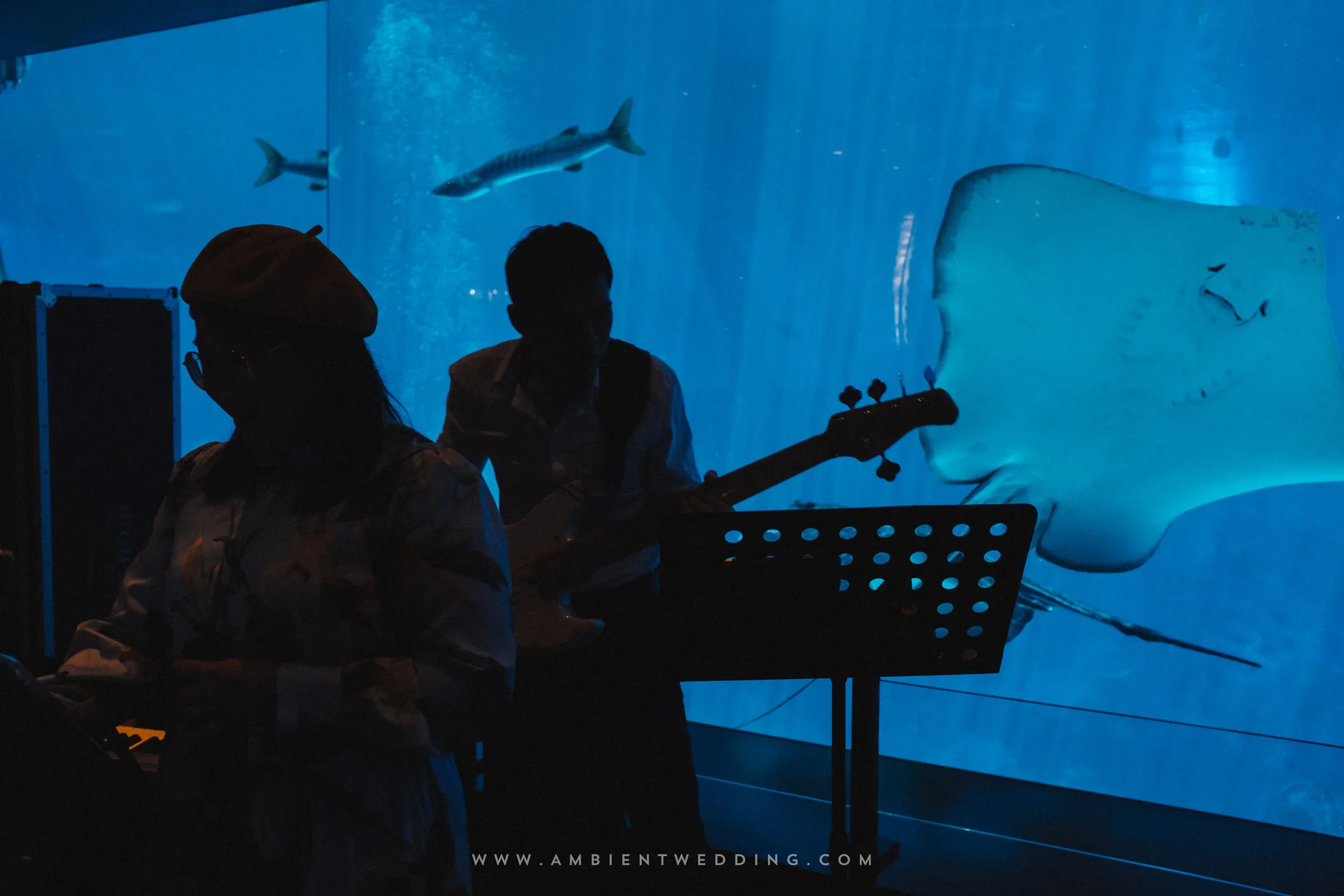 HA & YC, Wedding Day in Singapore — Pham Si Luan Photography (42)