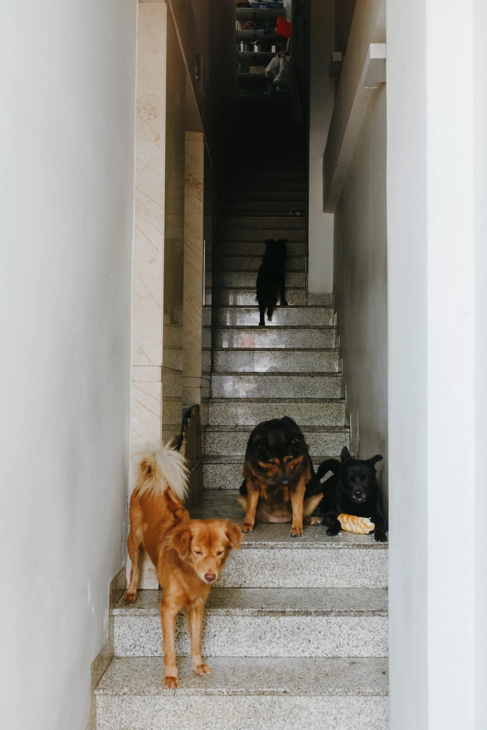Kim Anh & Tuân, Wedding Day in Sài Gòn — Pham Si Luan Photography (35)
