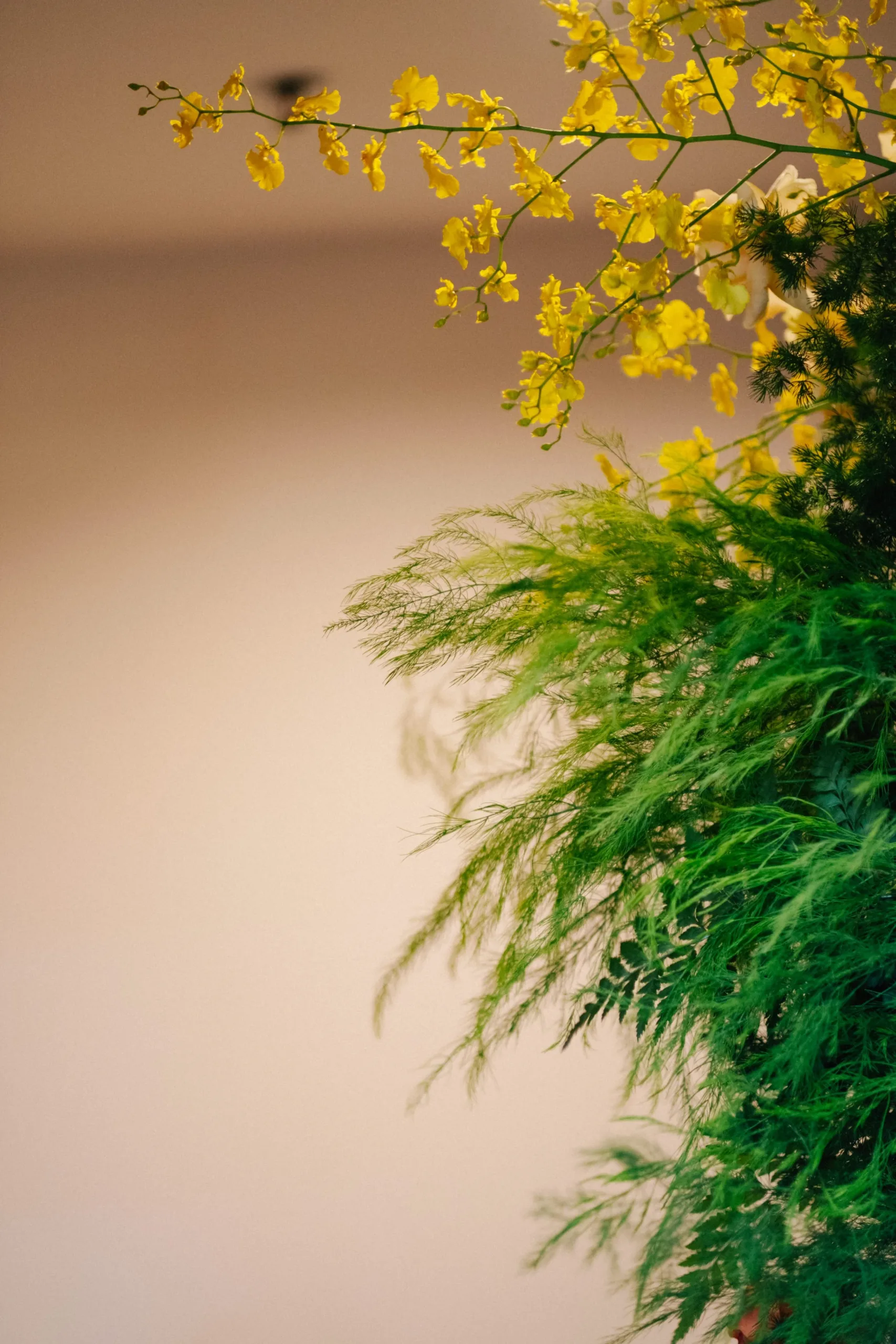 Thư & Toàn, Lễ Gia Tiên Sài Gòn — Pham Si Luan Photography (15)