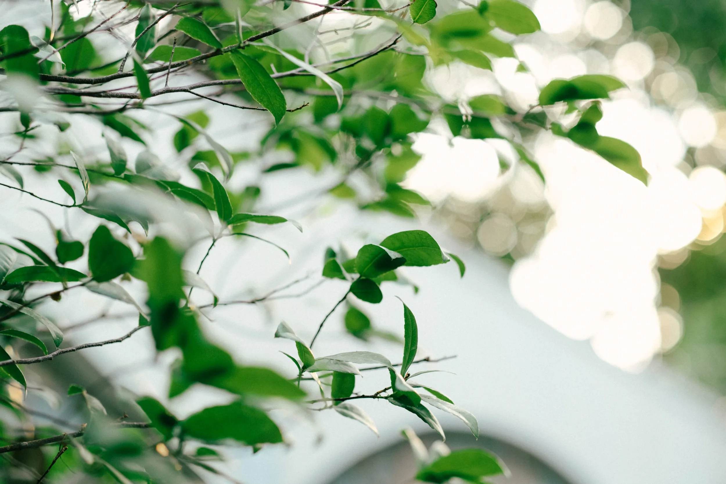 Lê & Phương, Ngày Cưới Sài Gòn — Pham Si Luan Photography (1)