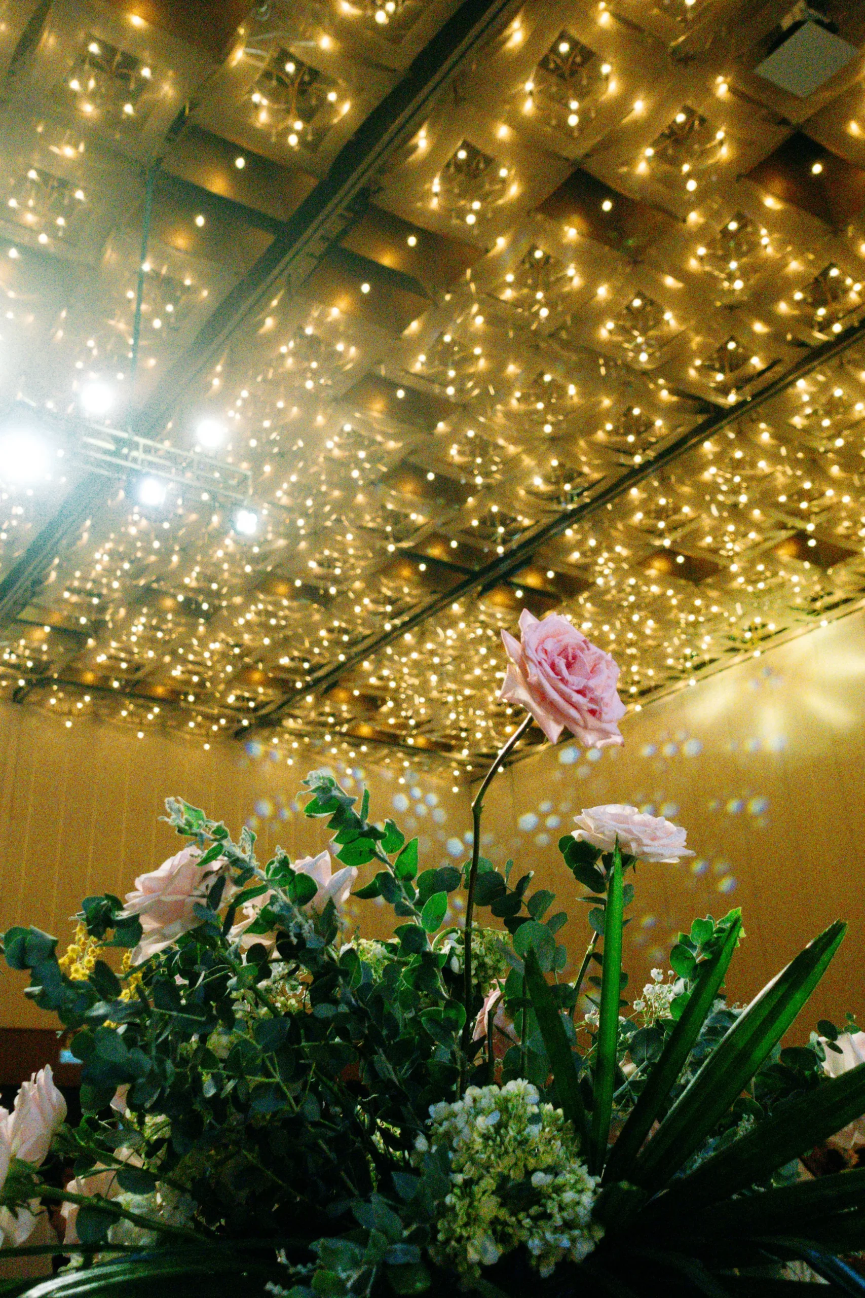 Linh & Tân, Wedding Ceremony in Sài Gòn — Pham Si Luan Photography (42)