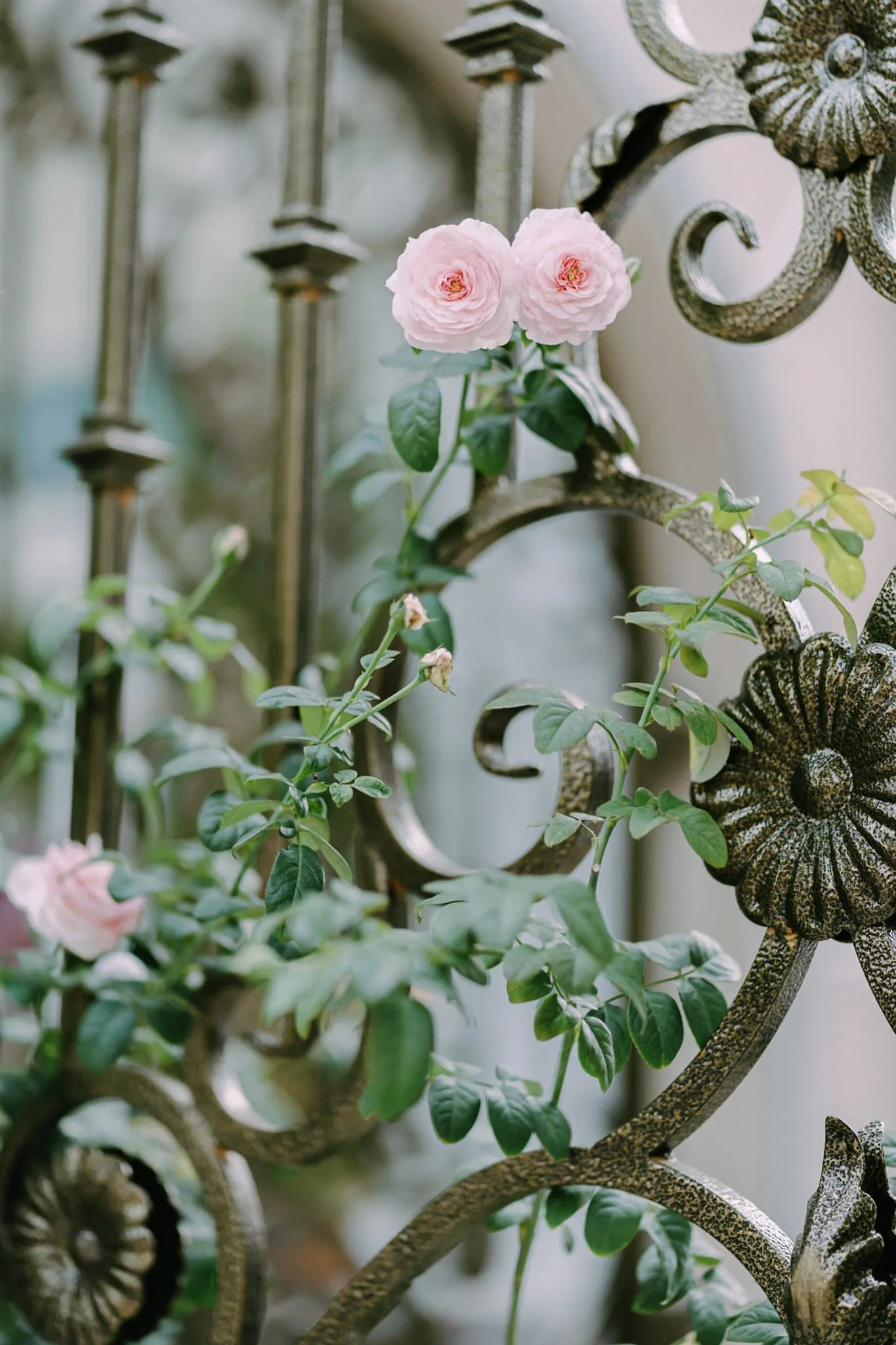 Linh & Tuấn Anh, Wedding Day in Saigon — Pham Si Luan Photography (10)