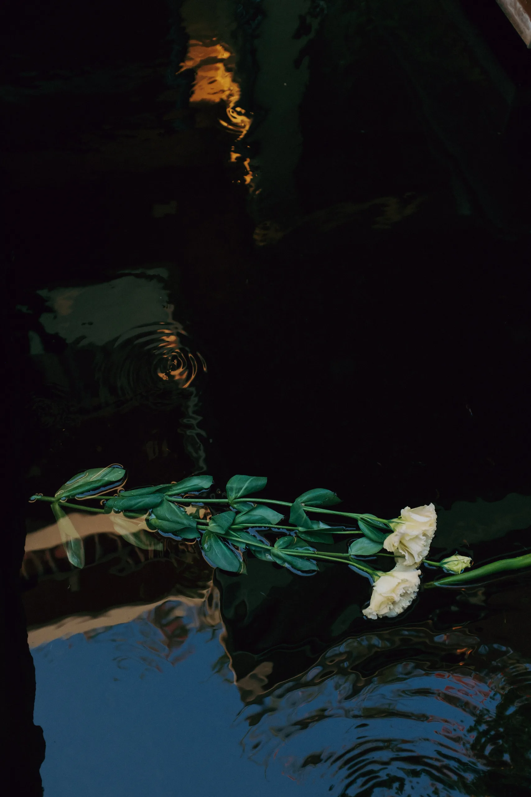 Na & Qi, Pre-wedding Ceremony in Biên Hoà — Pham Si Luan Photography (45)