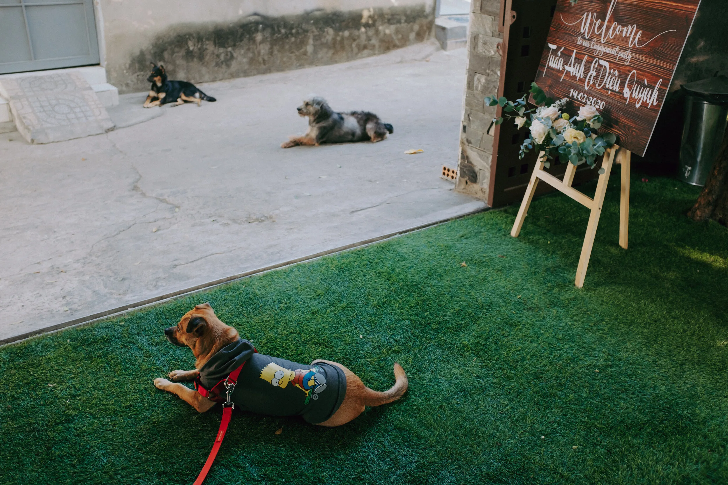 Na & Qi, Pre-wedding Ceremony in Biên Hoà — Pham Si Luan Photography (81)