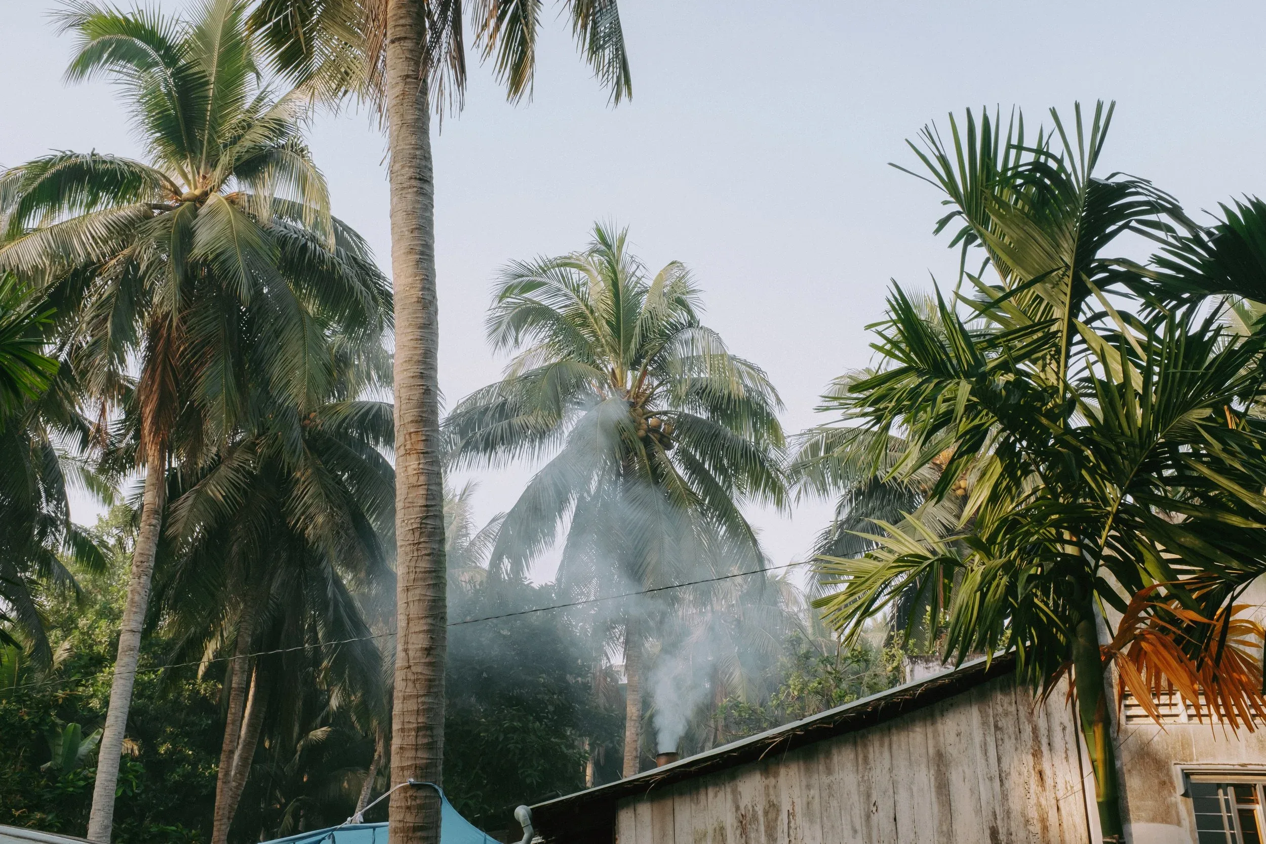 Thư & Đức, Wedding Day in Bến Tre — Pham Si Luan Photography (16)